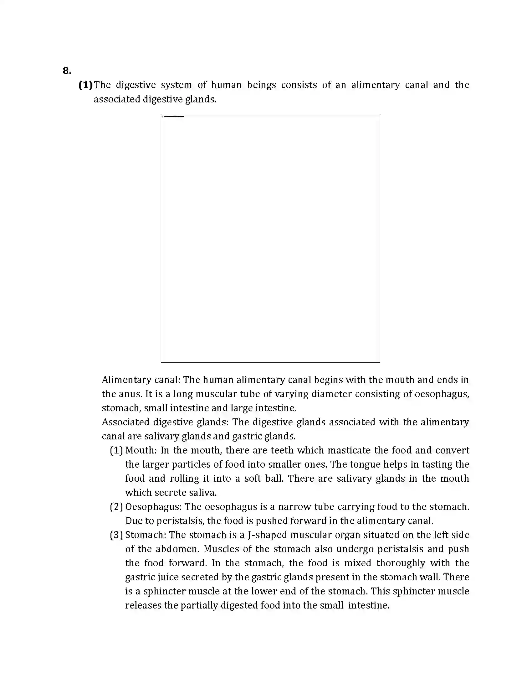 Maharashtra Board Class 10th 2013 Science & Technology - 2013 Previous Year Paper 21