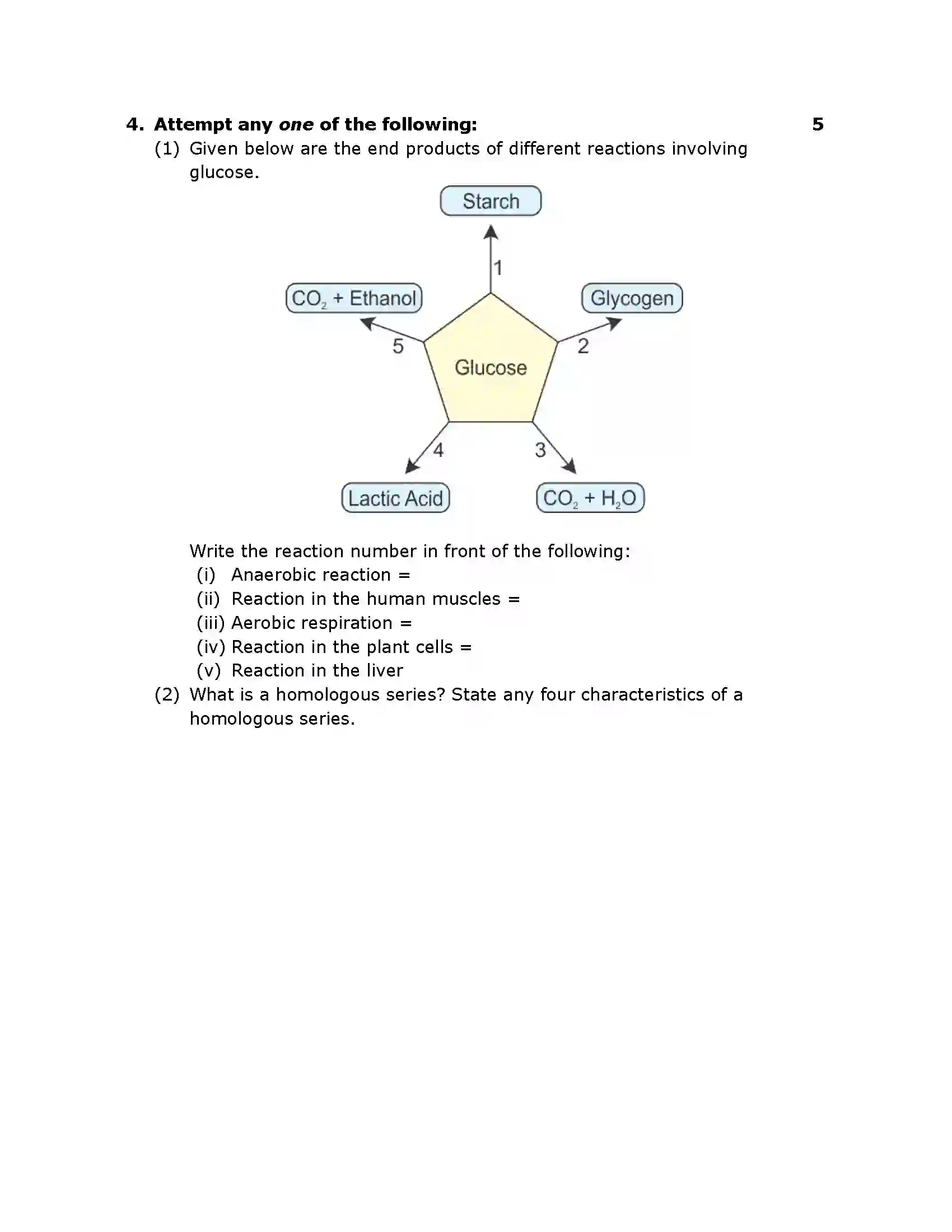 Maharashtra Board Class 10th 2016 Science & Technology - 2016 - Paper-II Previous Year Paper 3
