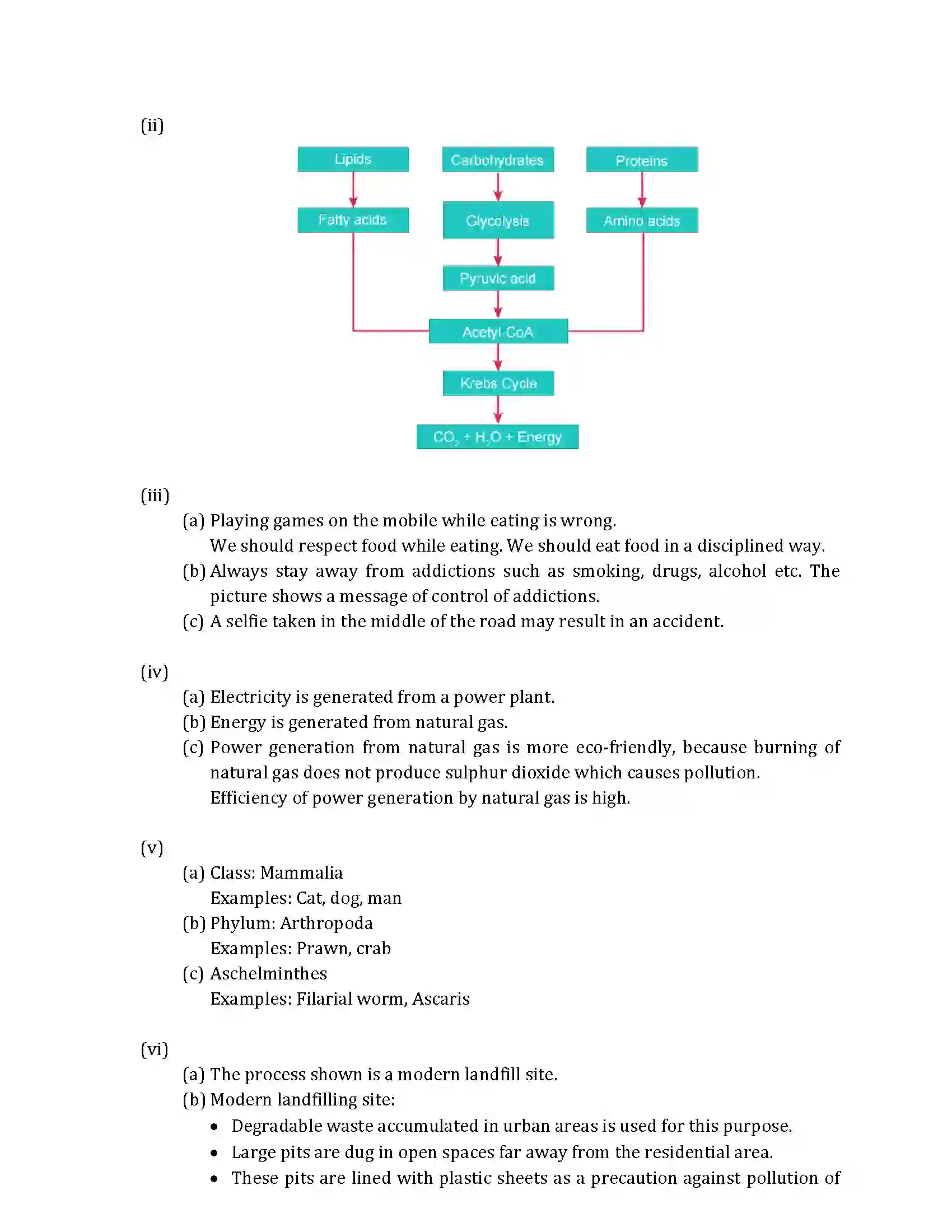 Maharashtra Board Class 10th 2019 Science & Technology - 2019 - Paper-2 Previous Year Paper 11