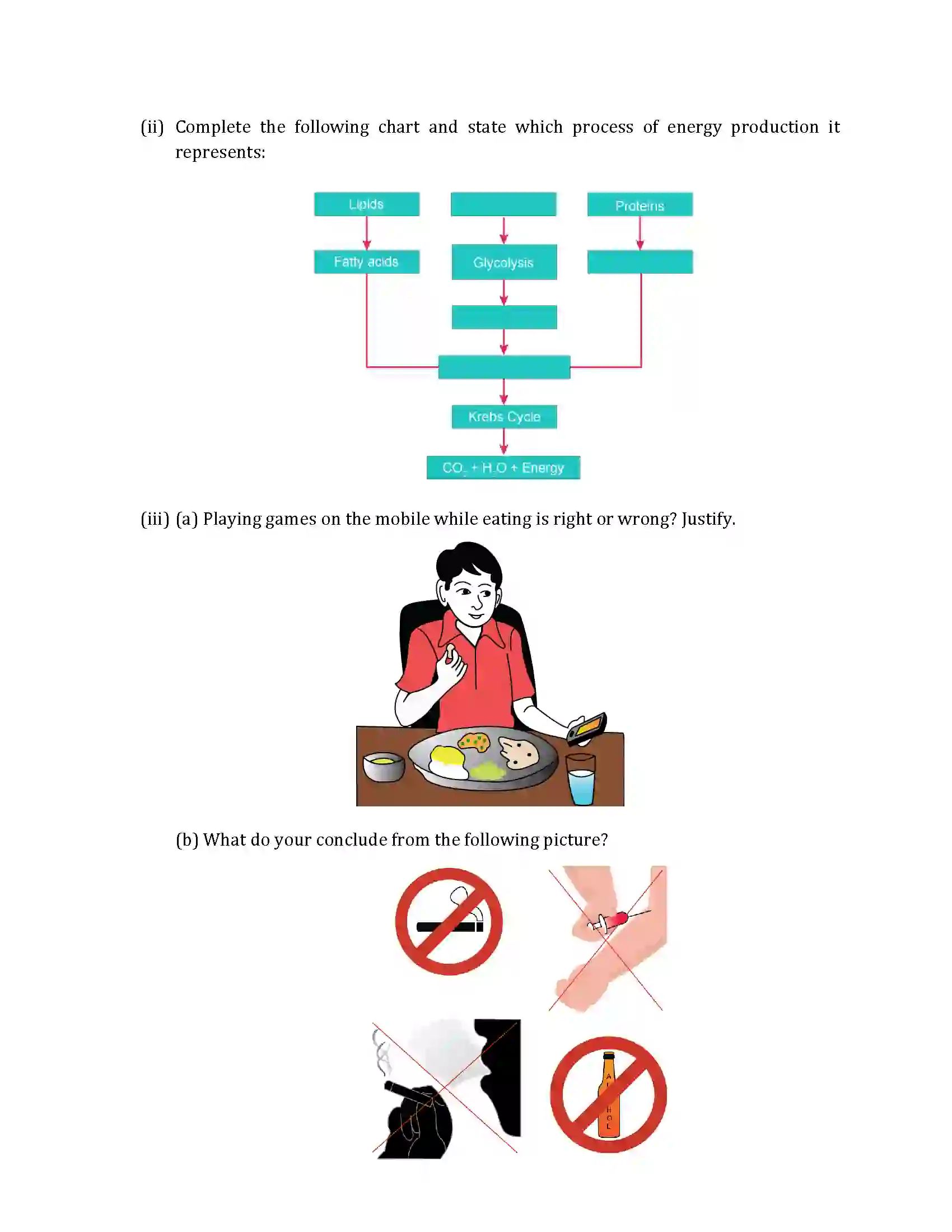Maharashtra Board Class 10th 2019 Science & Technology - 2019 - Paper-2 Previous Year Paper 4