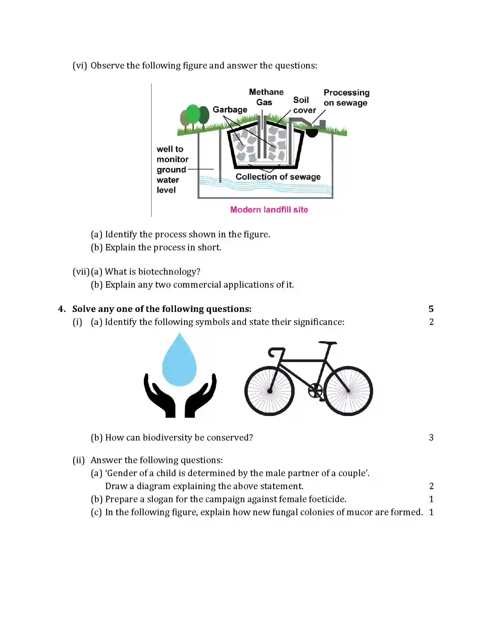 Maharashtra Board Class 10th 2019 Science & Technology - 2019 - Paper-2 Previous Year Paper 6