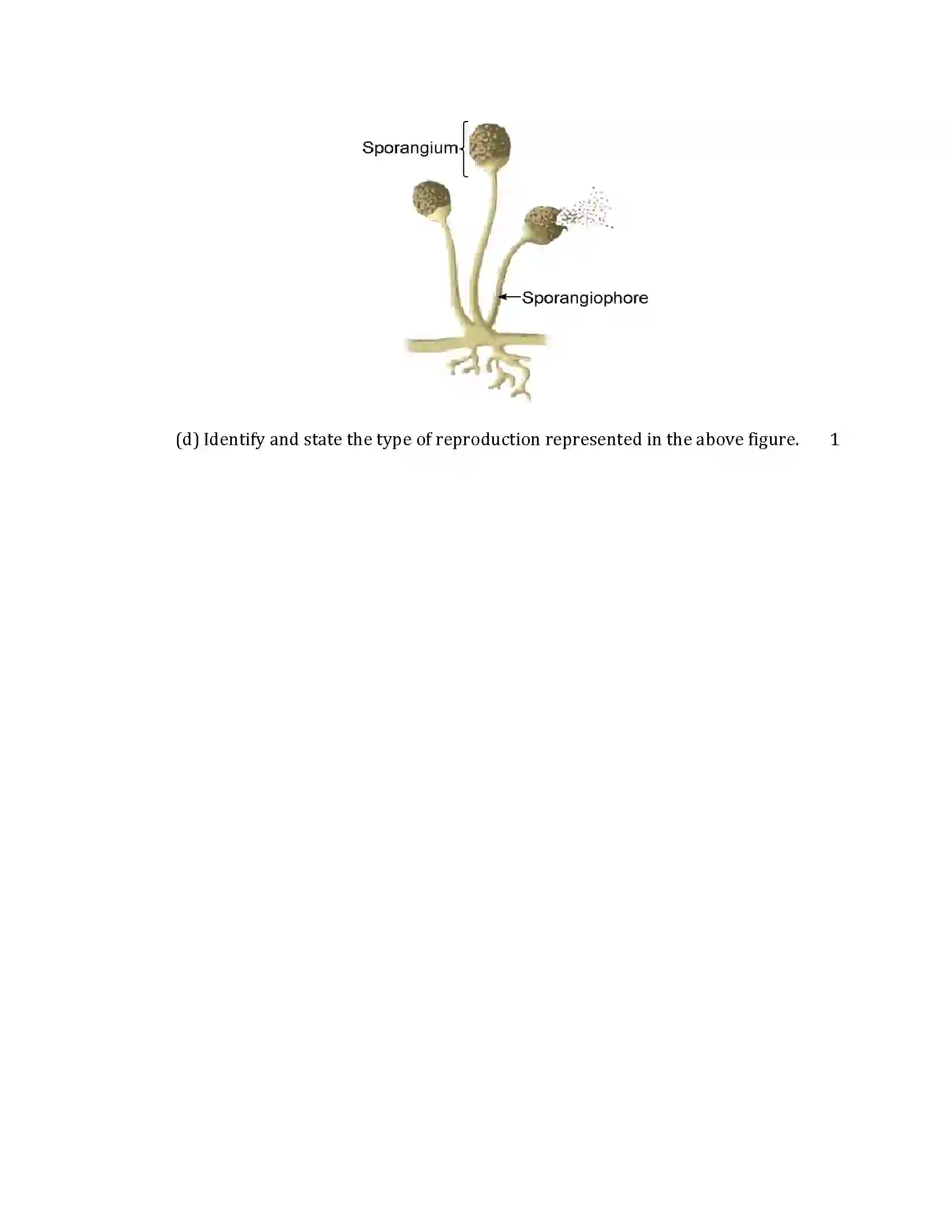 Maharashtra Board Class 10th 2019 Science & Technology - 2019 - Paper-2 Previous Year Paper 7