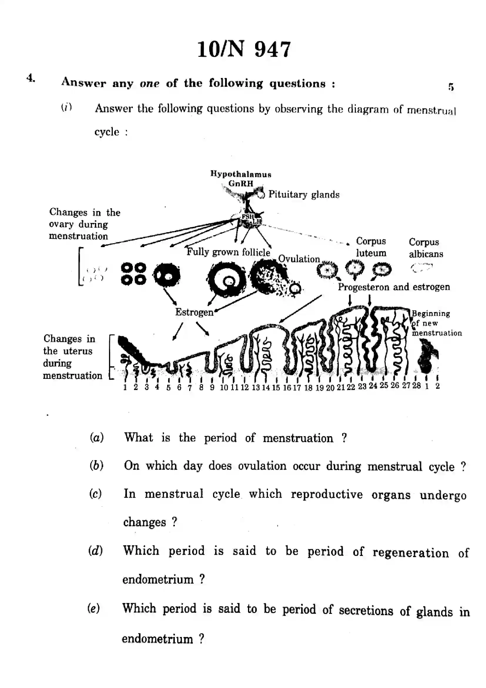 Maharashtra Board Class 10th 2023 Science & Technology - 72-N-947 - 2023 Previous Year Paper 10