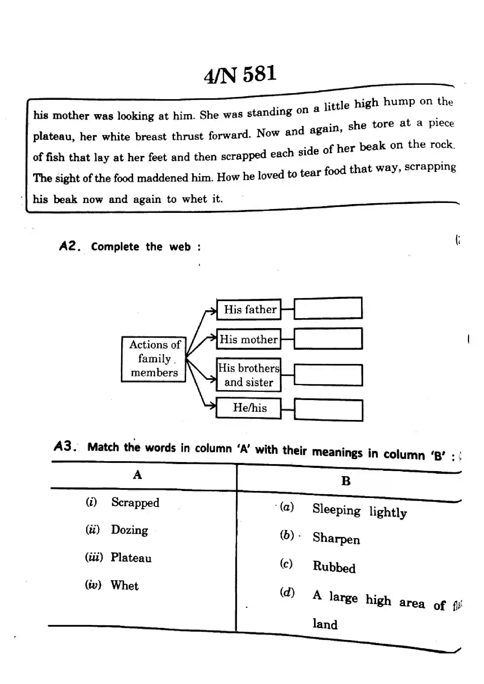 Maharashtra Board Class 10th 2024 English (T.L) - (17) - (N-581) Previous Year Paper 4
