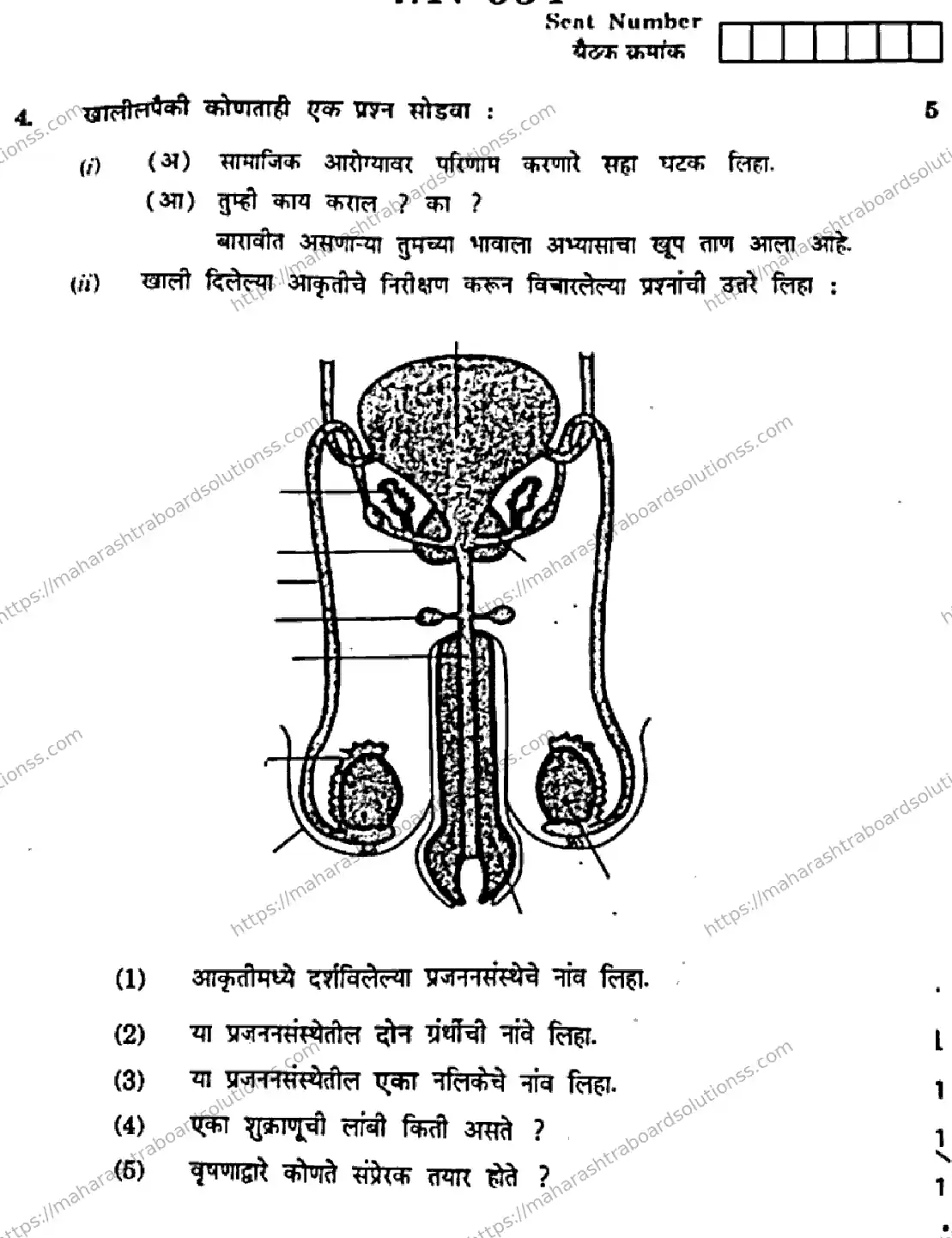 Maharashtra Board Class 10th 2026 SCIENCE AND TECHNOLOGY 72 N 954 Previous Year Paper 7