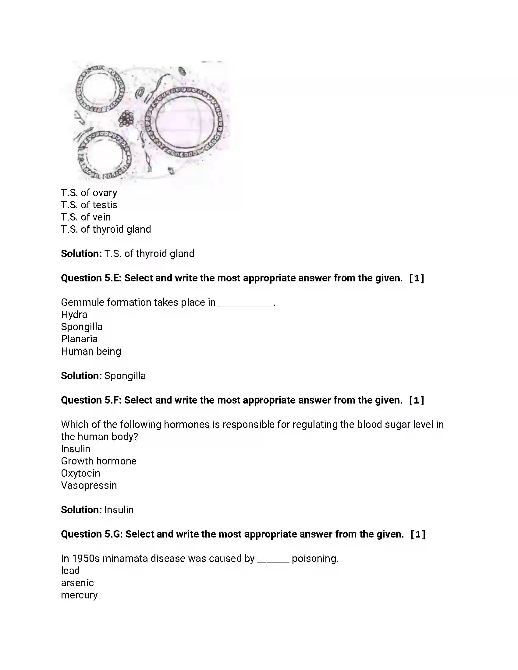 Maharashtra Board Class 12th 2013 Biology - Oct 2013 - Set-1 Previous Year Paper 10