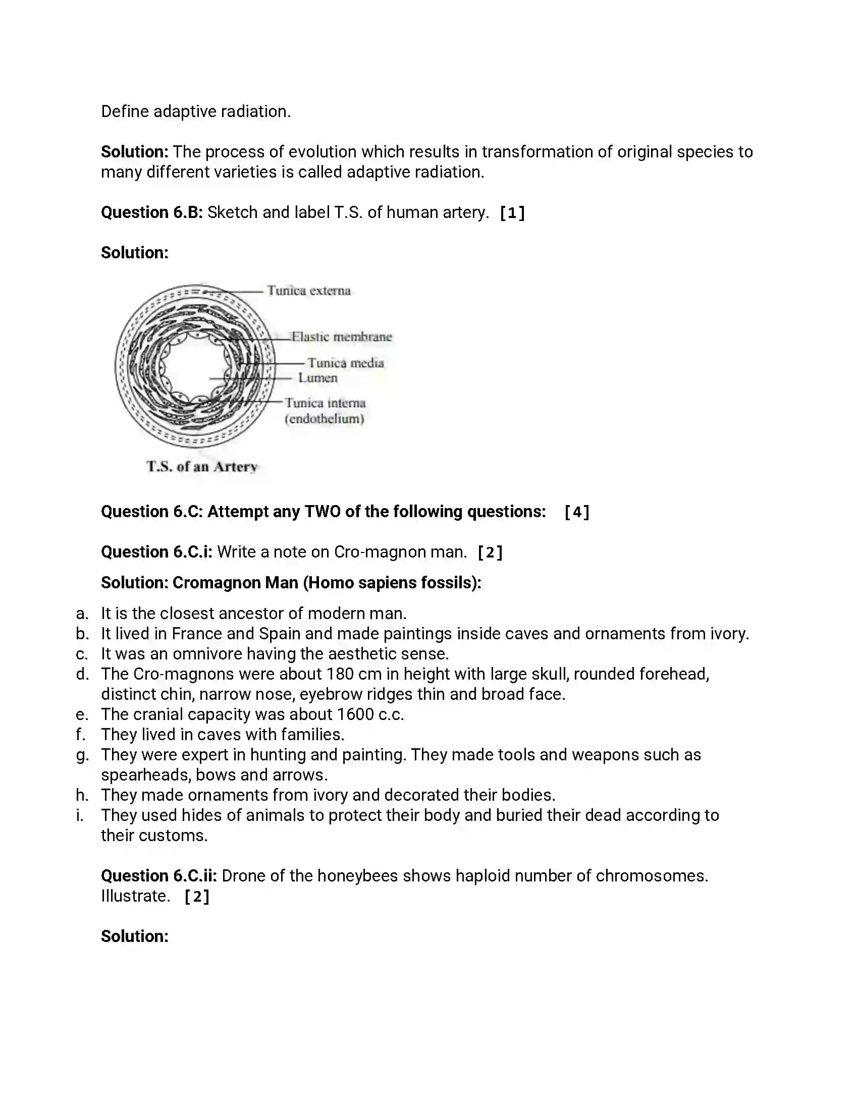 Maharashtra Board Class 12th 2013 Biology - Oct 2013 - Set-1 Previous Year Paper 12
