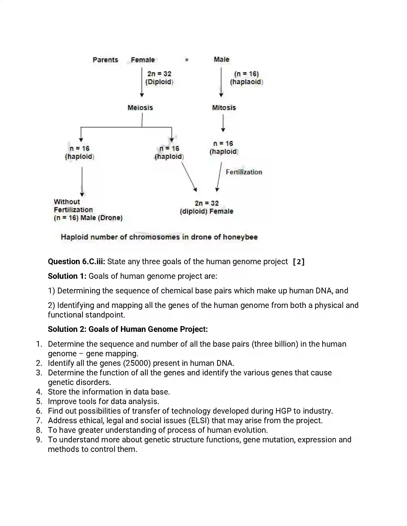 Maharashtra Board Class 12th 2013 Biology - Oct 2013 - Set-1 Previous Year Paper 13