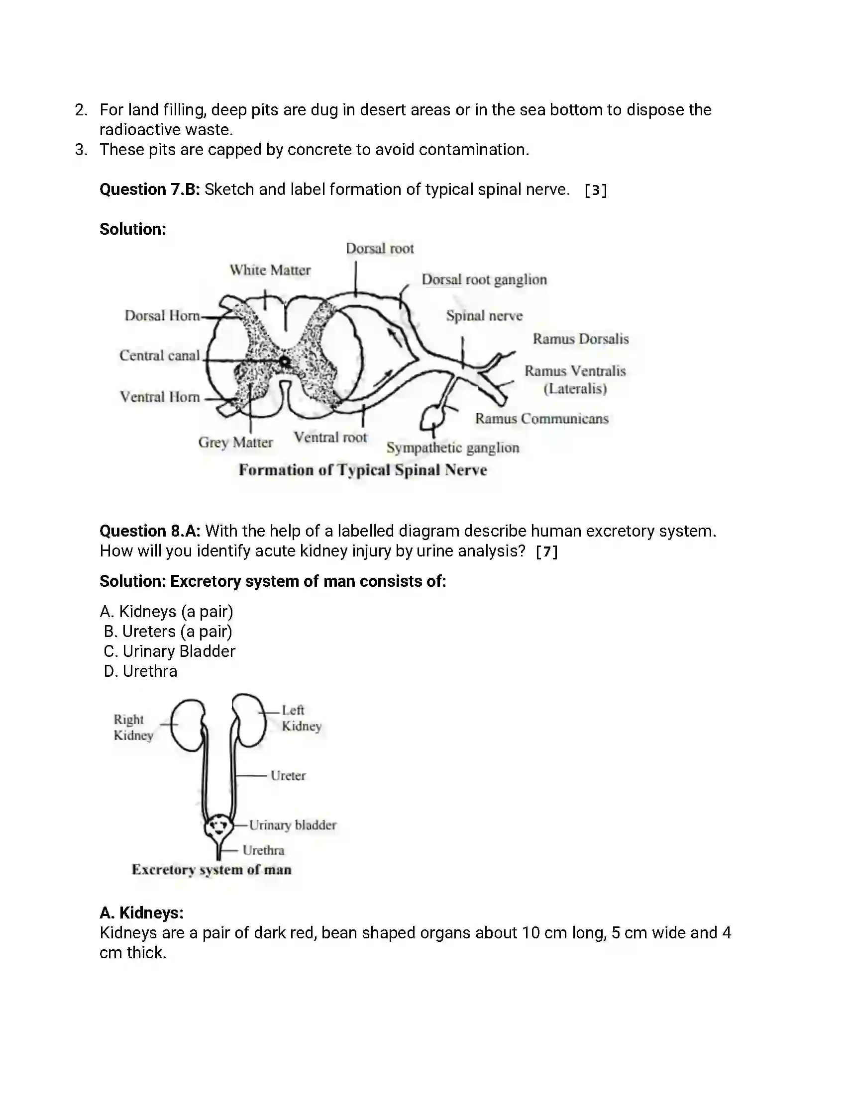 Maharashtra Board Class 12th 2013 Biology - Oct 2013 - Set-1 Previous Year Paper 16