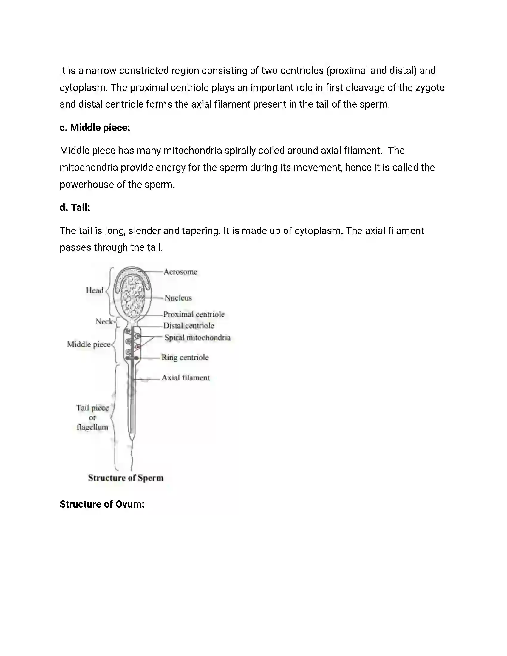Maharashtra Board Class 12th 2013 Biology - Oct 2013 - Set-1 Previous Year Paper 19