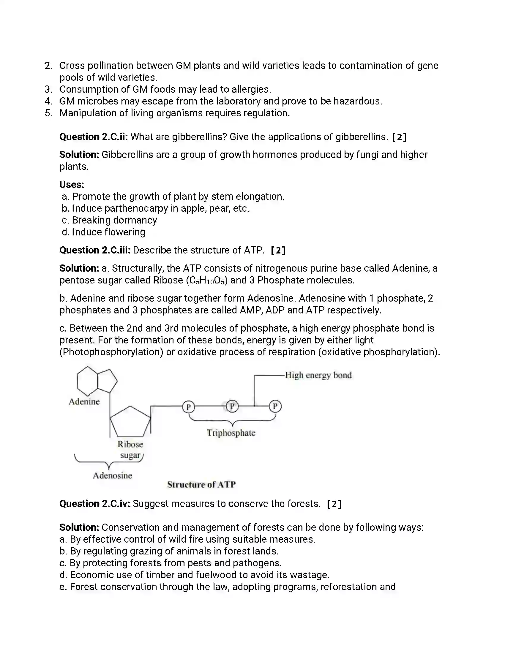 Maharashtra Board Class 12th 2013 Biology - Oct 2013 - Set-1 Previous Year Paper 4