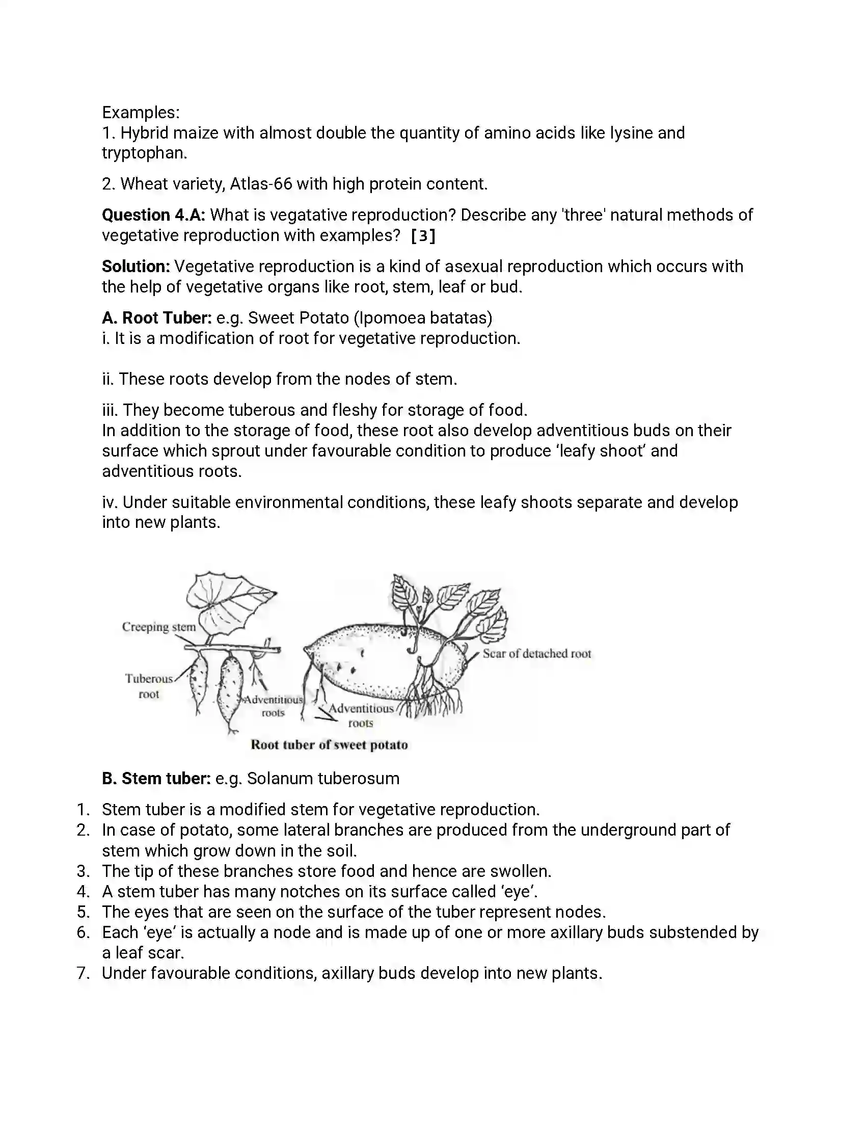 Maharashtra Board Class 12th 2013 Biology - Oct 2013 - Set-1 Previous Year Paper 6