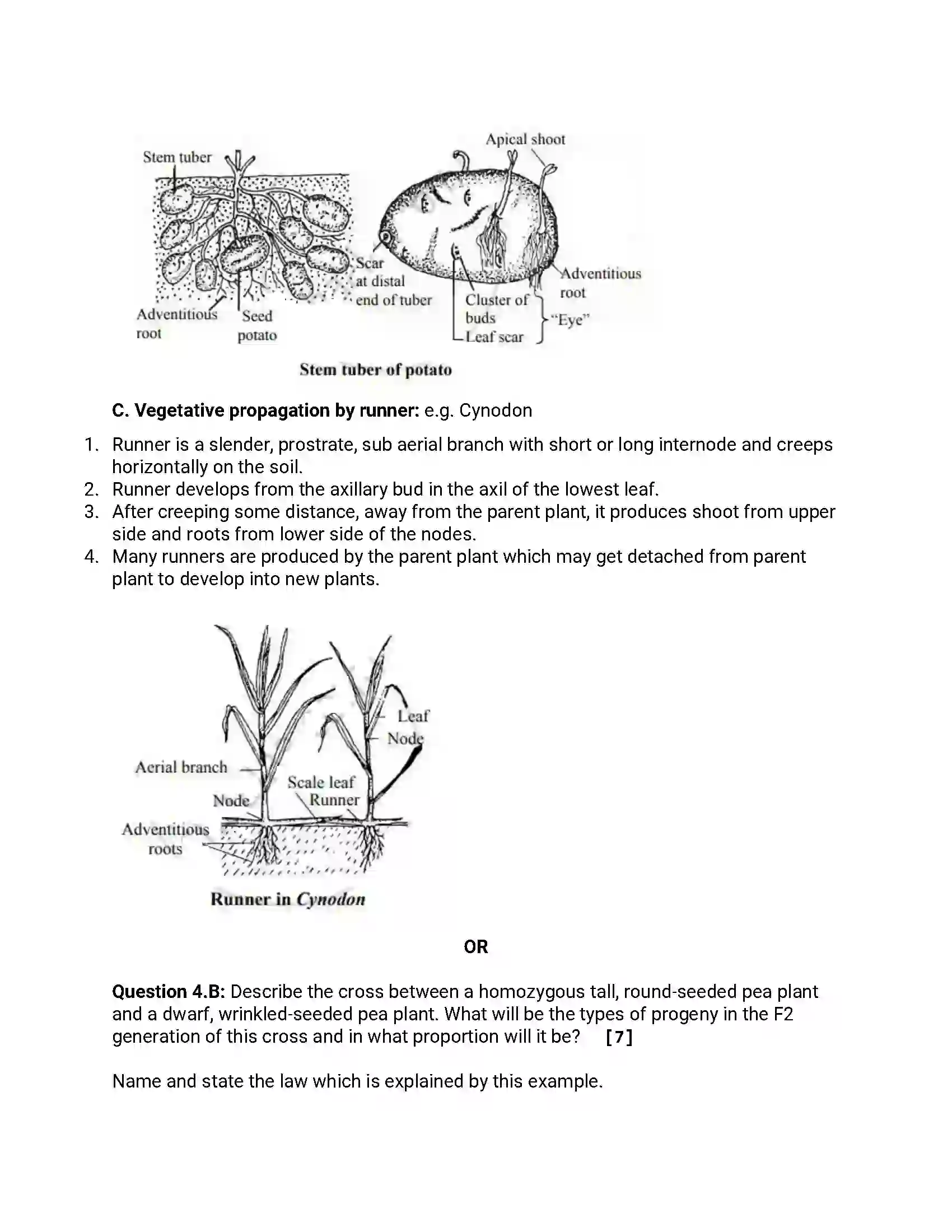 Maharashtra Board Class 12th 2013 Biology - Oct 2013 - Set-1 Previous Year Paper 7
