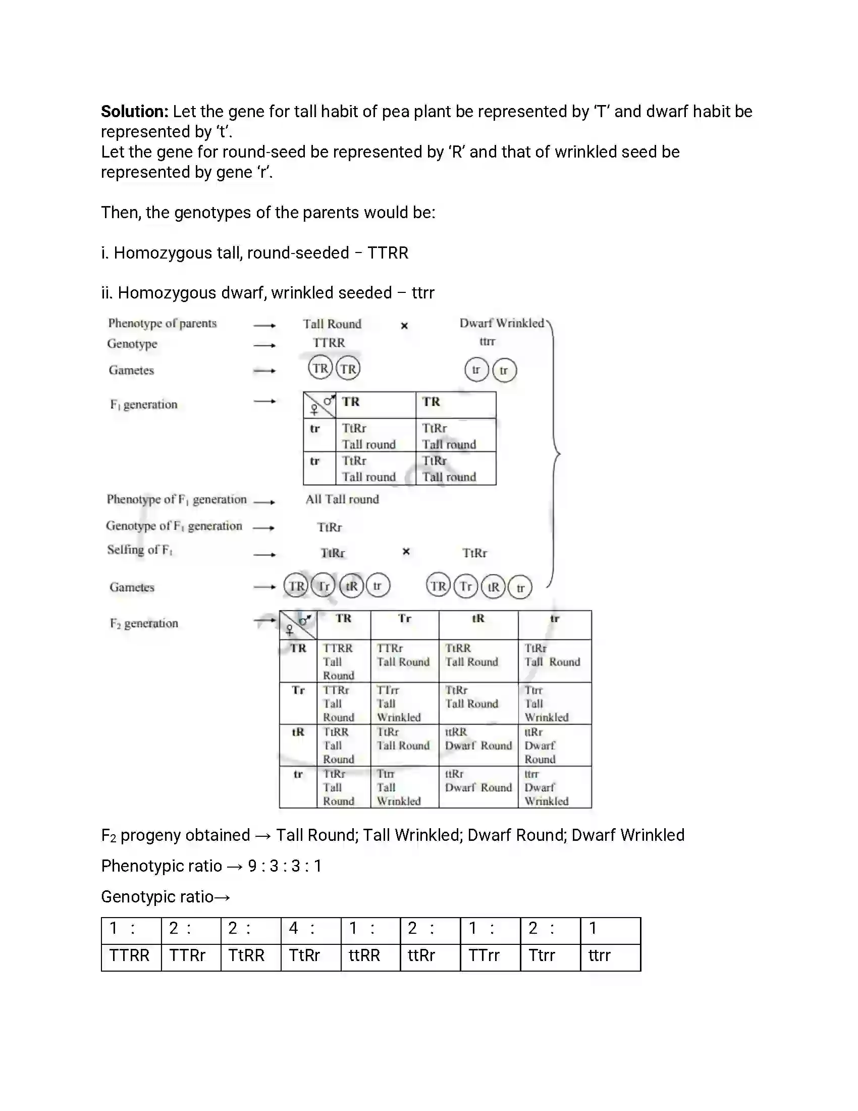 Maharashtra Board Class 12th 2013 Biology - Oct 2013 - Set-1 Previous Year Paper 8