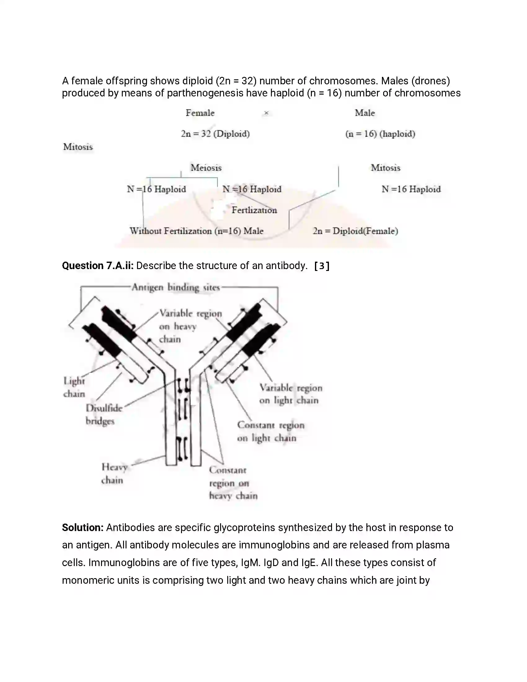 Maharashtra Board Class 12th 2014 Biology - March 2014 Previous Year Paper 14