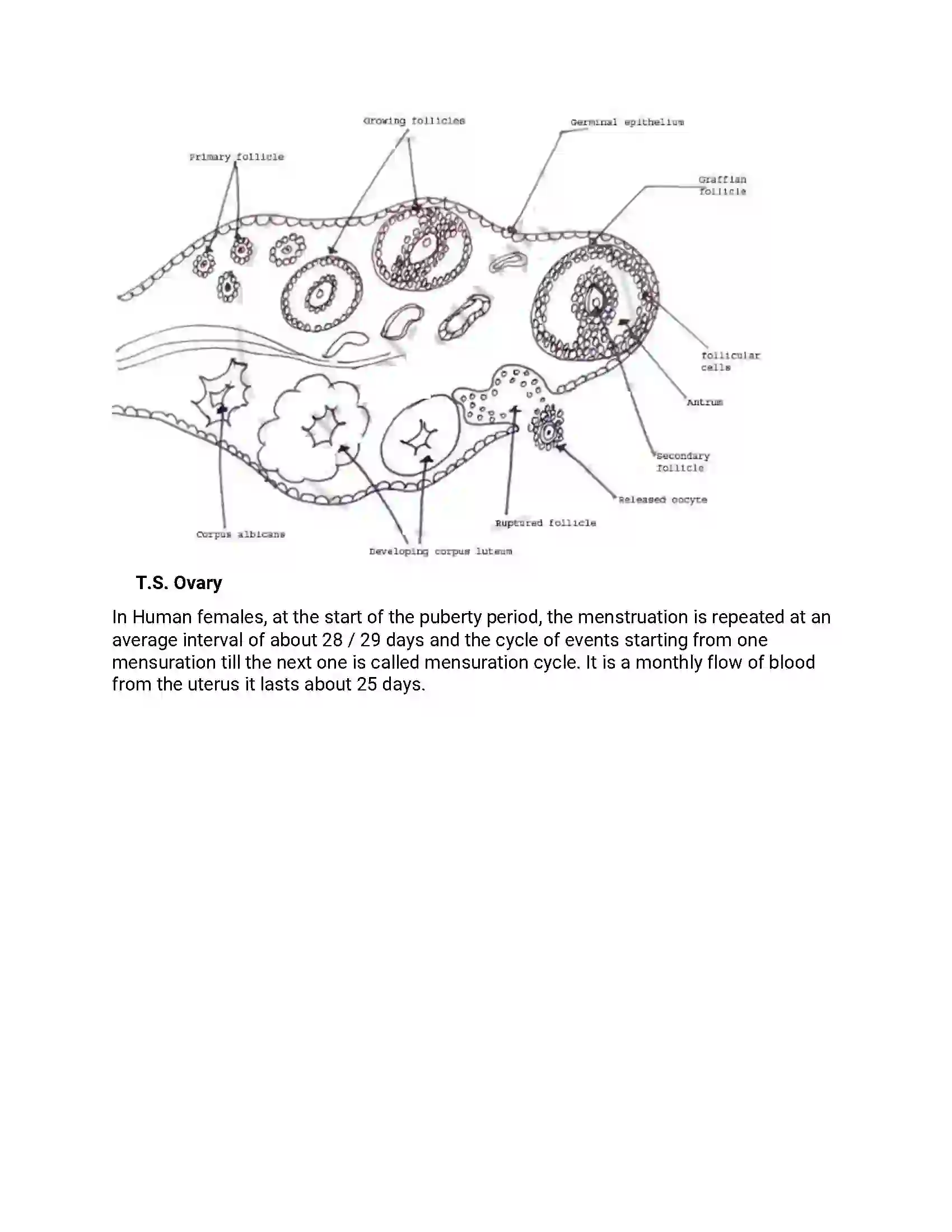 Maharashtra Board Class 12th 2014 Biology - March 2014 Previous Year Paper 17