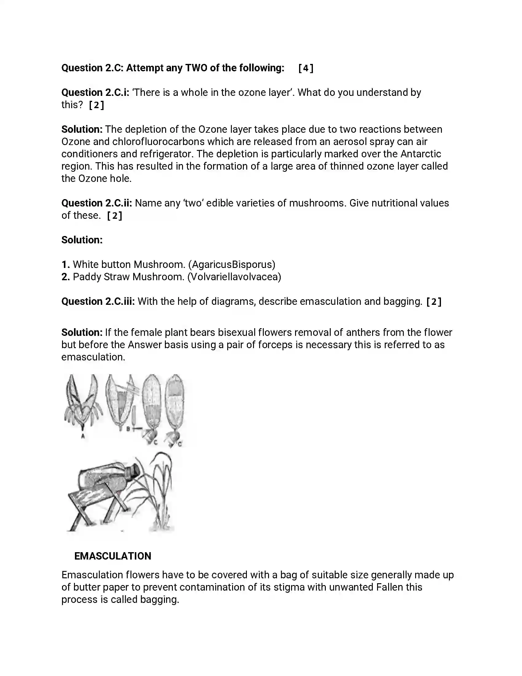 Maharashtra Board Class 12th 2014 Biology - March 2014 Previous Year Paper 4