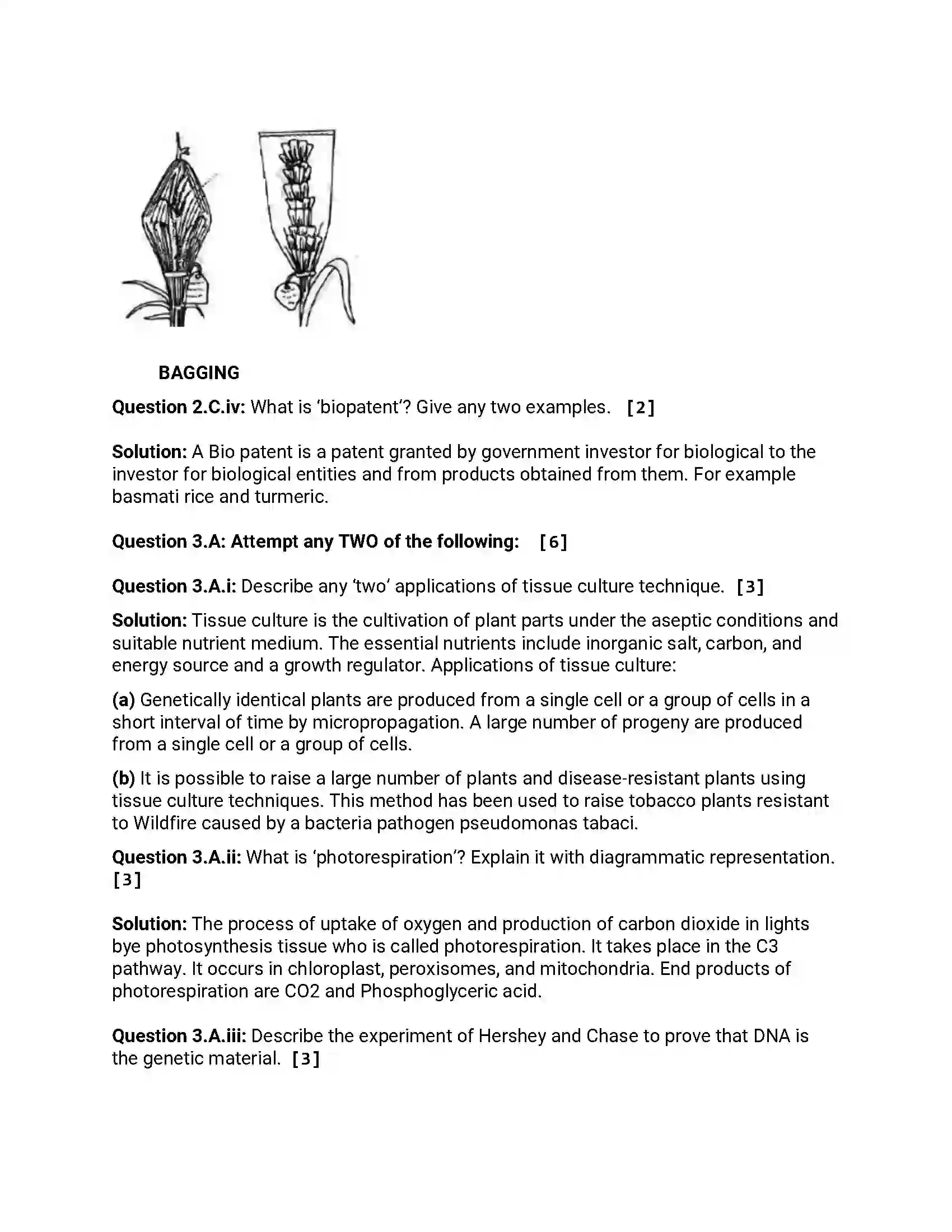 Maharashtra Board Class 12th 2014 Biology - March 2014 Previous Year Paper 5