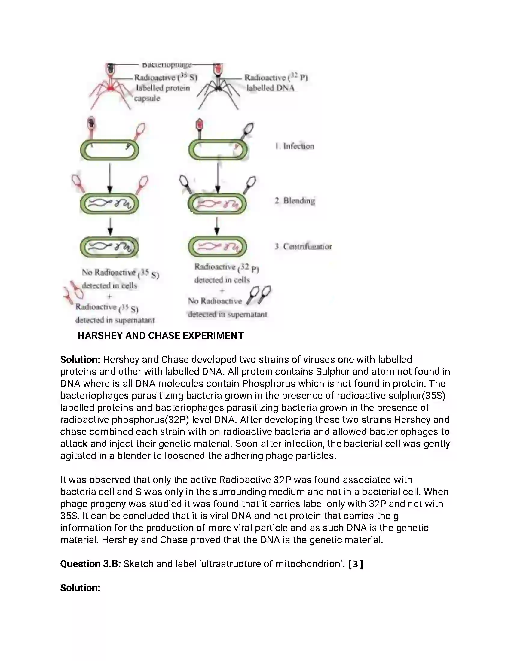 Maharashtra Board Class 12th 2014 Biology - March 2014 Previous Year Paper 6