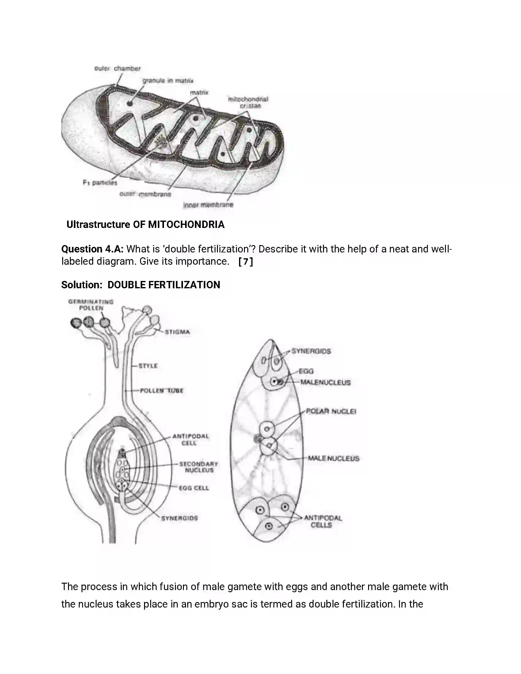 Maharashtra Board Class 12th 2014 Biology - March 2014 Previous Year Paper 7