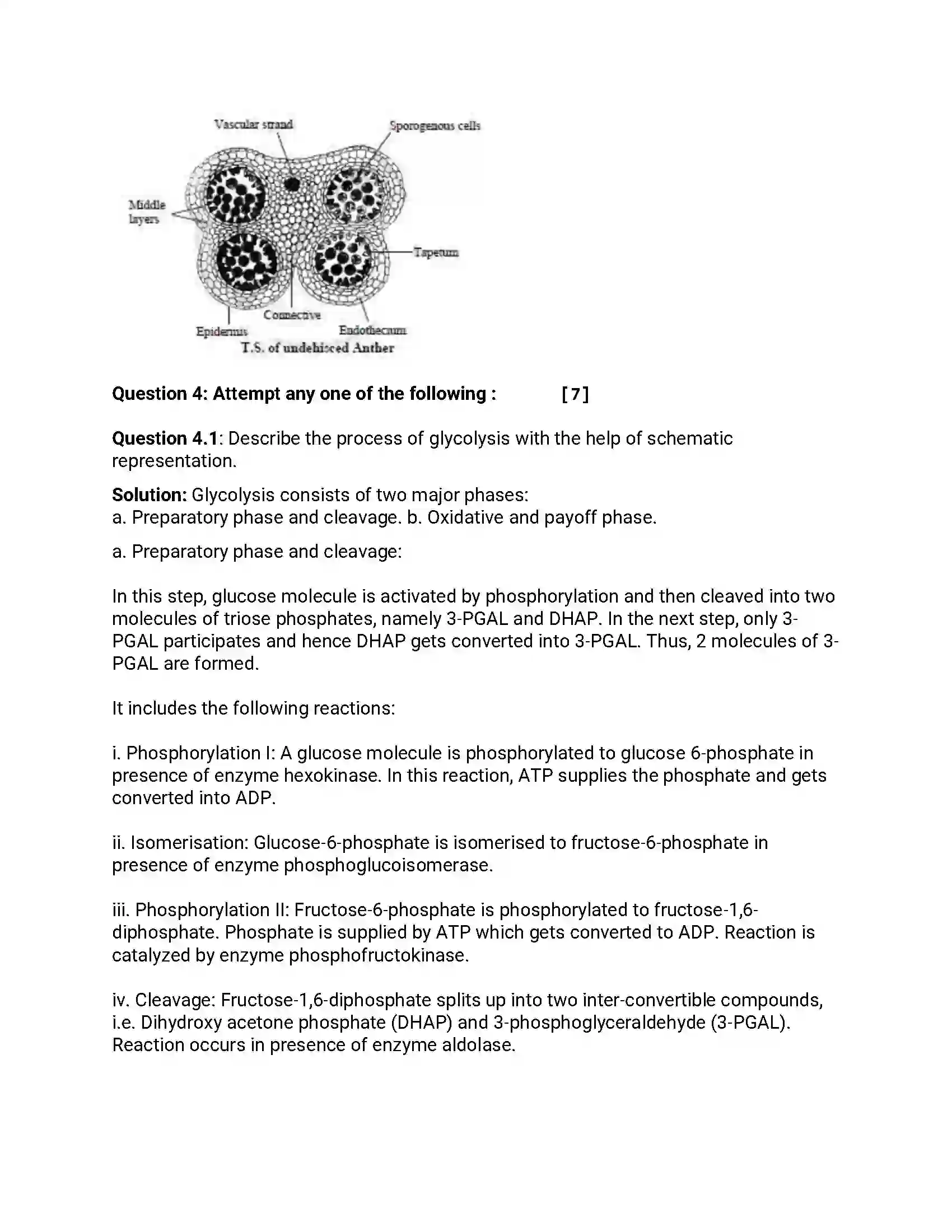 Maharashtra Board Class 12th 2014 Biology - Oct 2014 Previous Year Paper 7