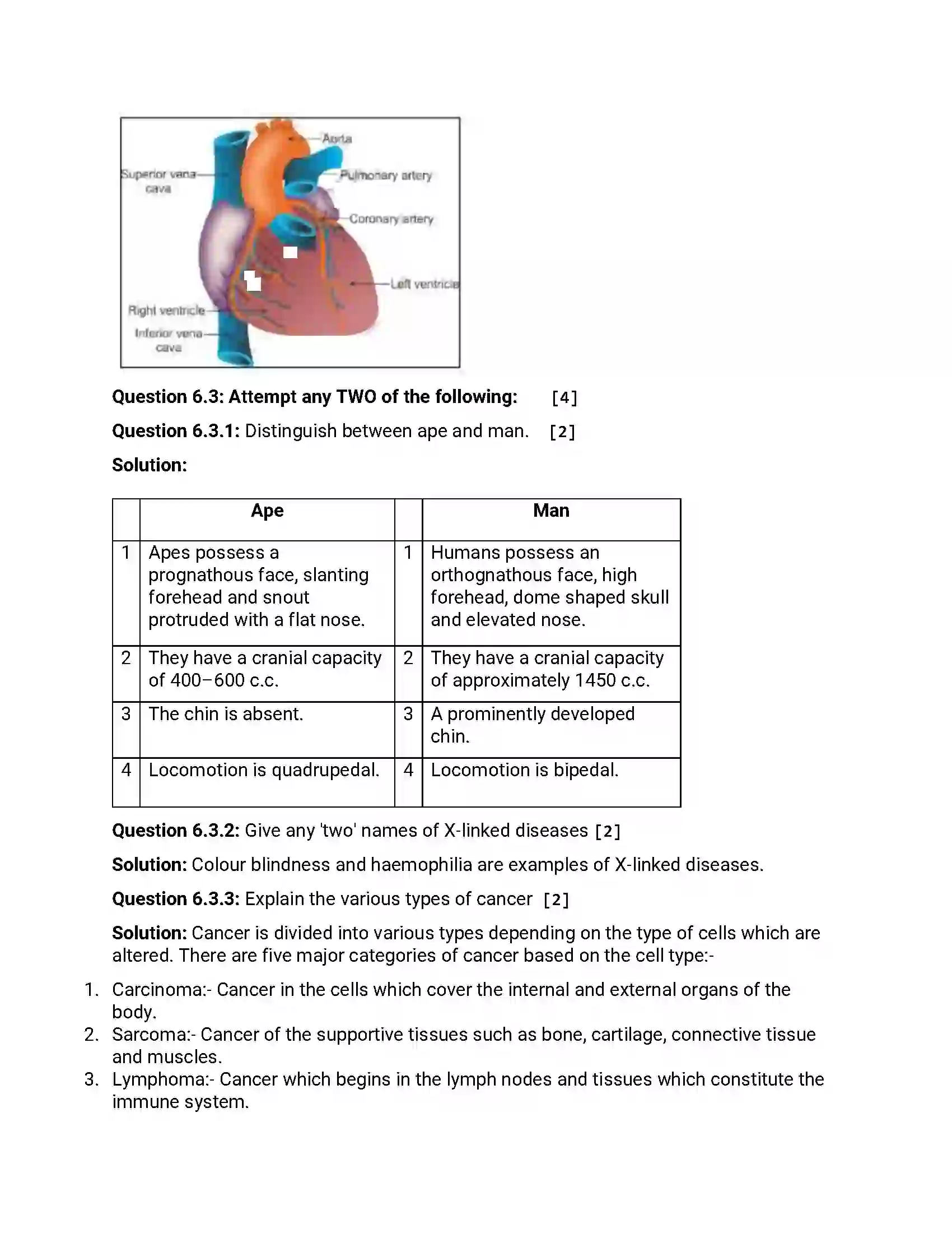 Maharashtra Board Class 12th 2015 Biology - March 2015 Previous Year Paper 14