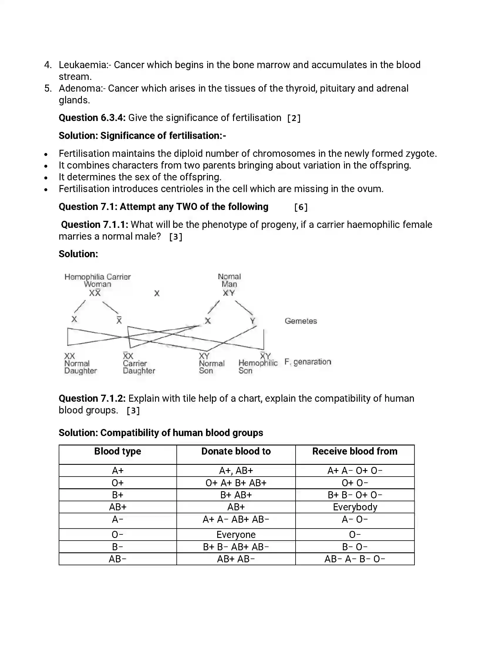 Maharashtra Board Class 12th 2015 Biology - March 2015 Previous Year Paper 15