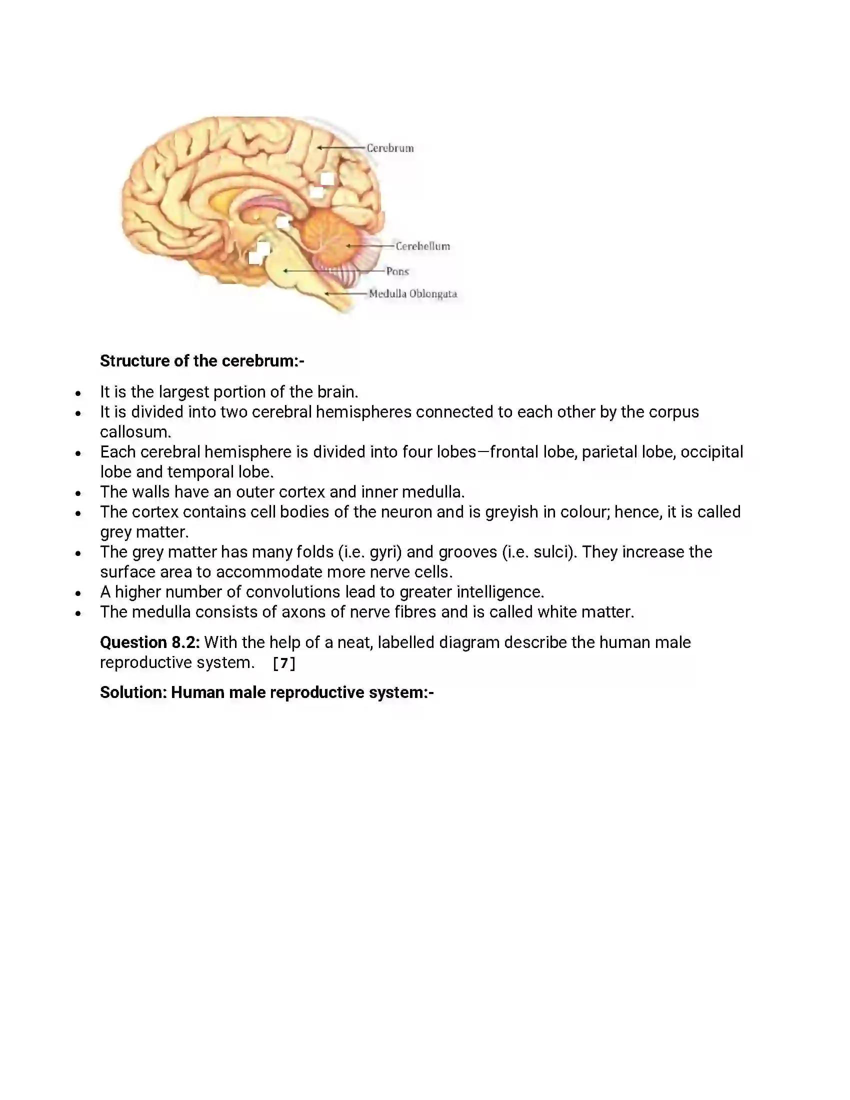 Maharashtra Board Class 12th 2015 Biology - March 2015 Previous Year Paper 17