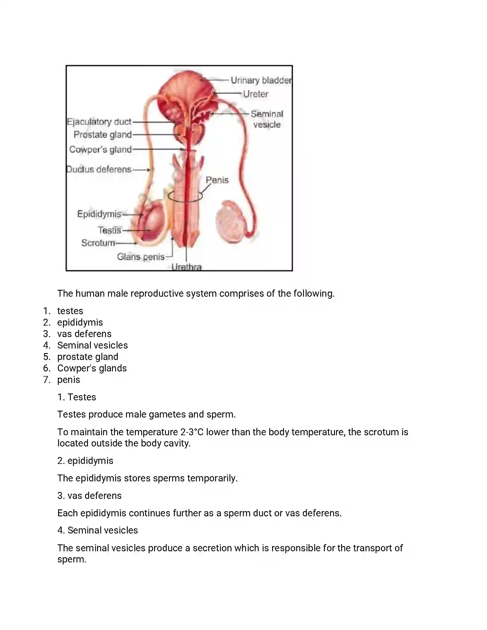 Maharashtra Board Class 12th 2015 Biology - March 2015 Previous Year Paper 18