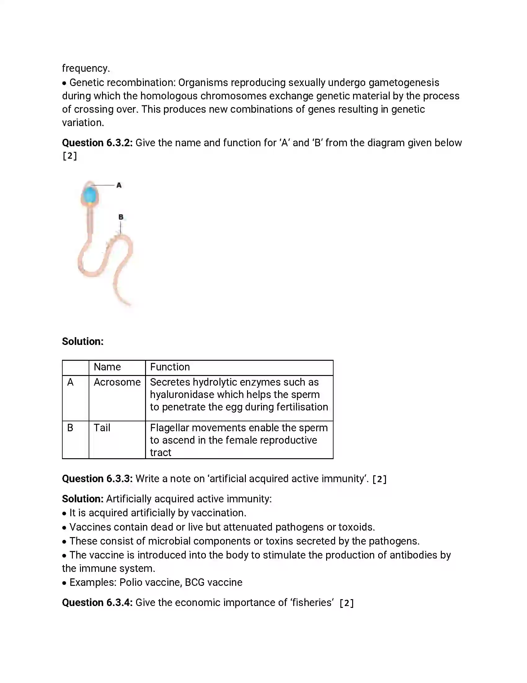 Maharashtra Board Class 12th 2016 Biology - March 2016 Previous Year Paper 12