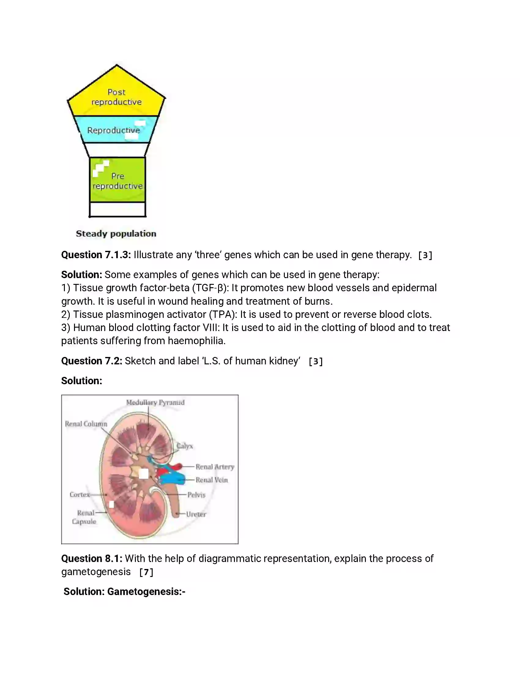 Maharashtra Board Class 12th 2016 Biology - March 2016 Previous Year Paper 15