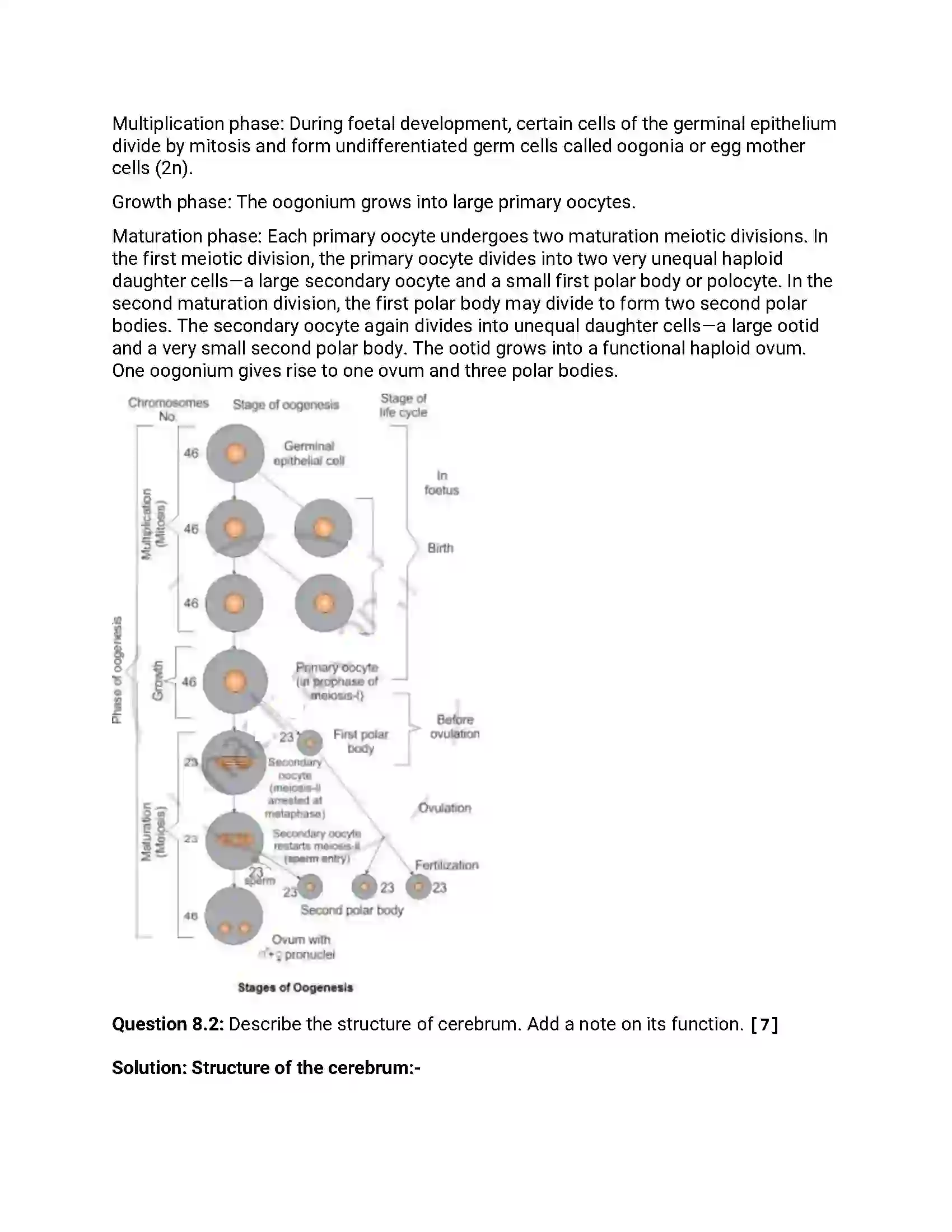 Maharashtra Board Class 12th 2016 Biology - March 2016 Previous Year Paper 17