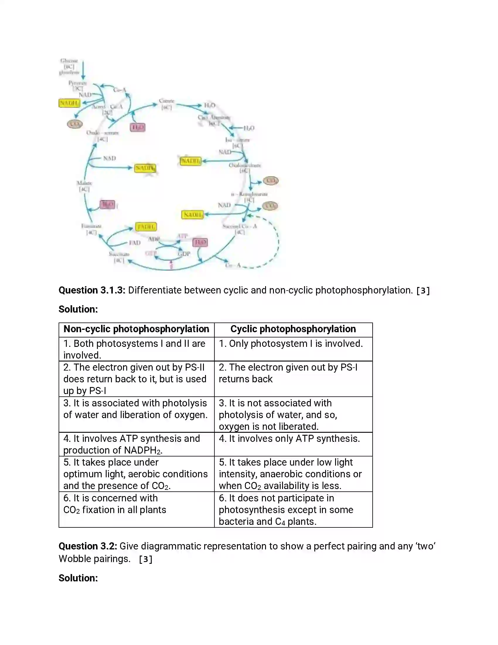 Maharashtra Board Class 12th 2016 Biology - March 2016 Previous Year Paper 6