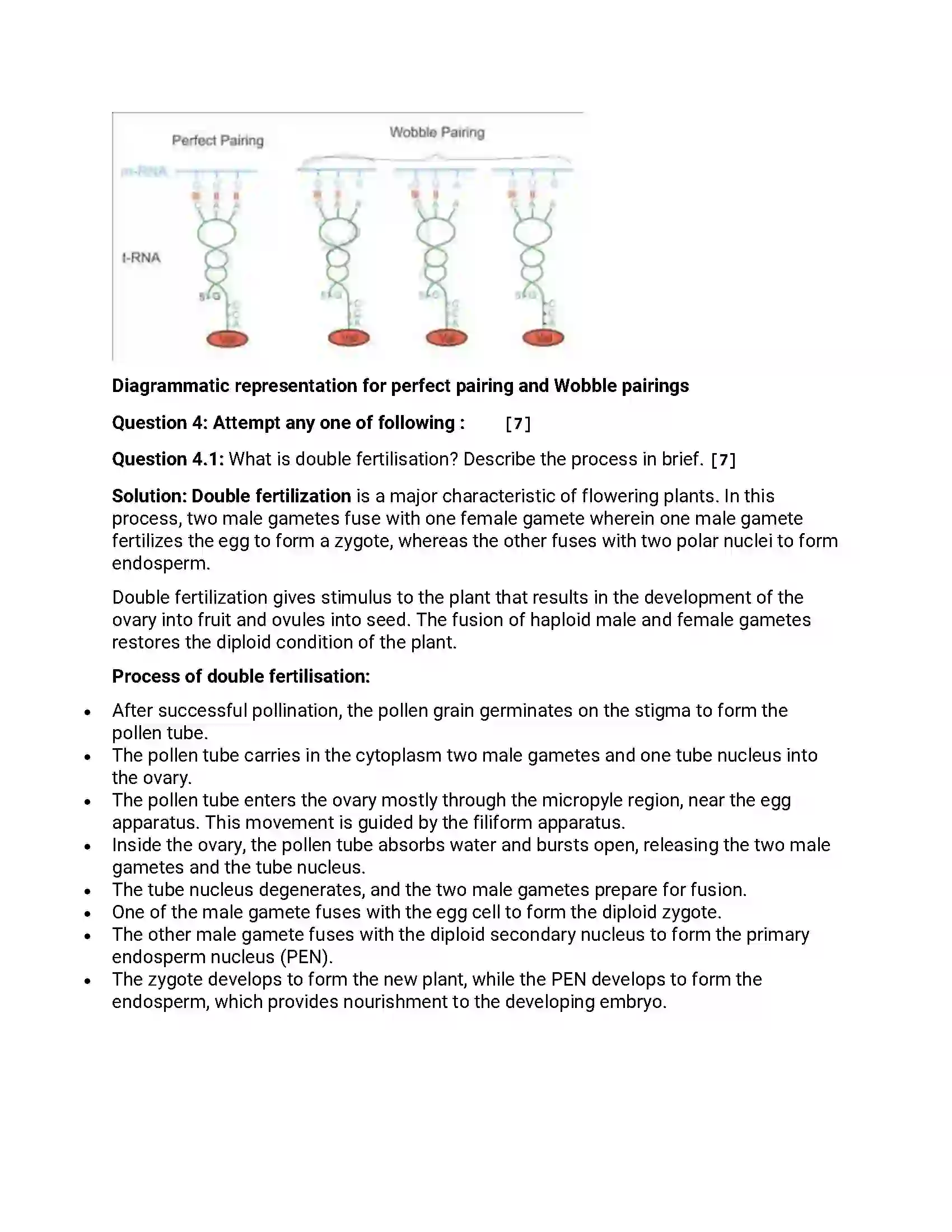 Maharashtra Board Class 12th 2016 Biology - March 2016 Previous Year Paper 7