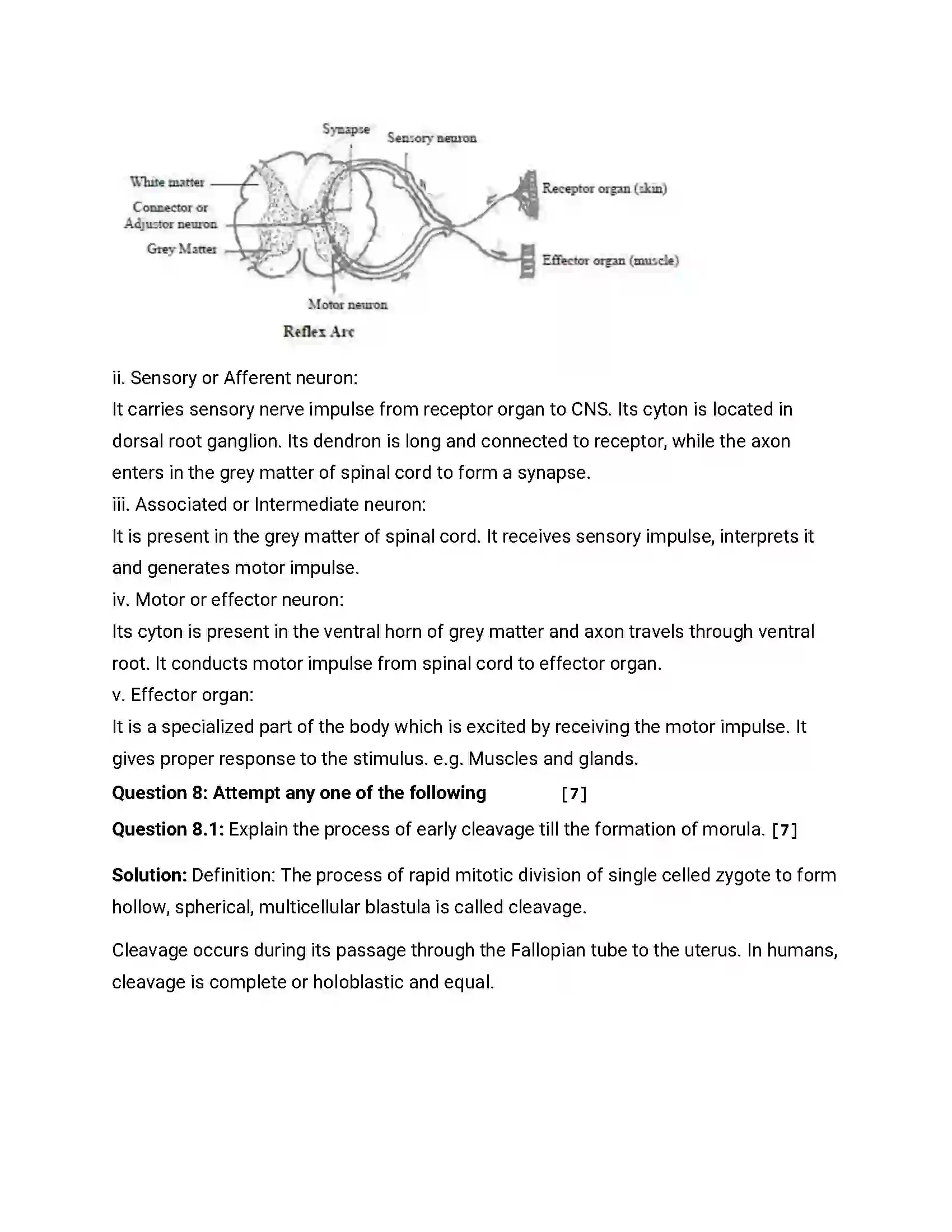 Maharashtra Board Class 12th 2016 Biology - Jul 2016 Previous Year Paper 19