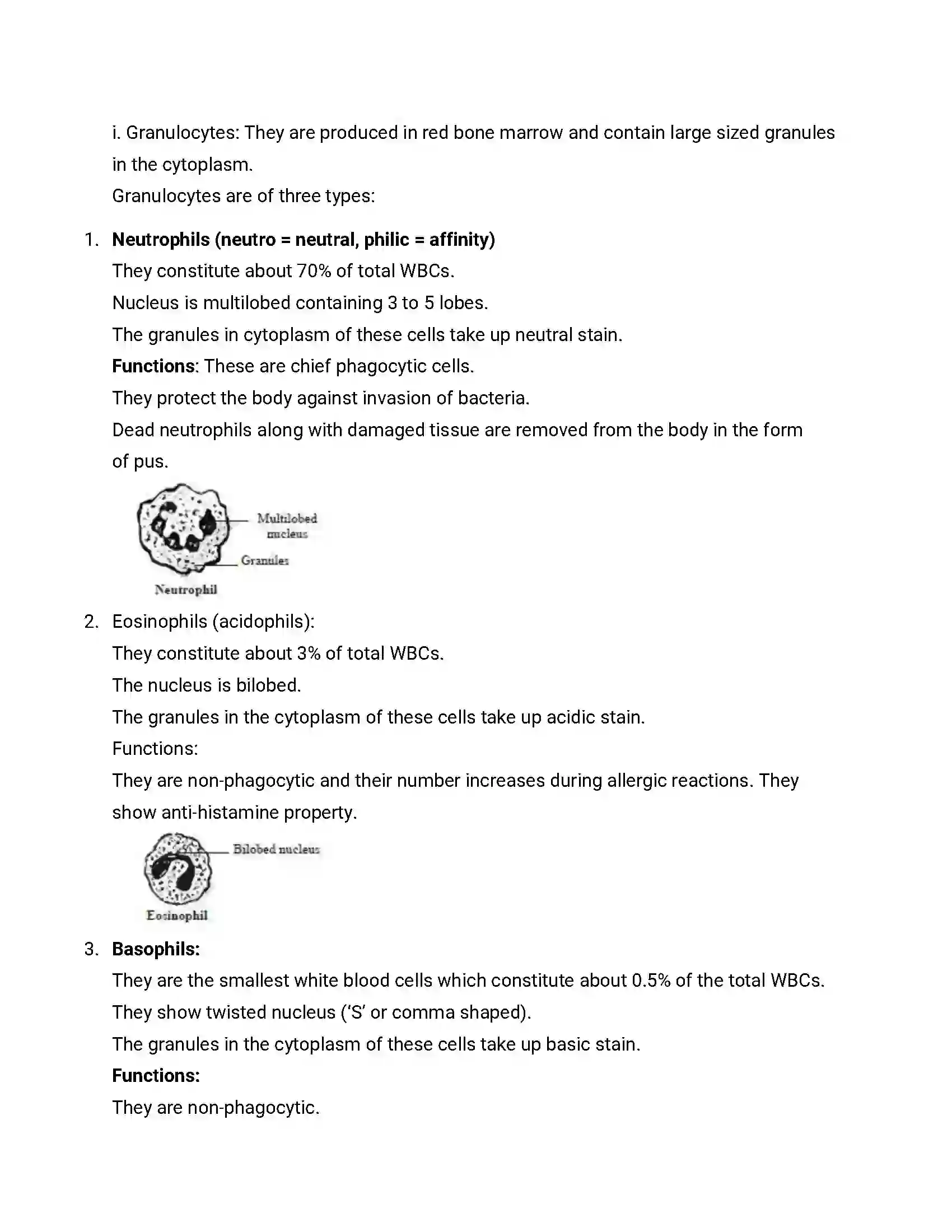 Maharashtra Board Class 12th 2016 Biology - Jul 2016 Previous Year Paper 21