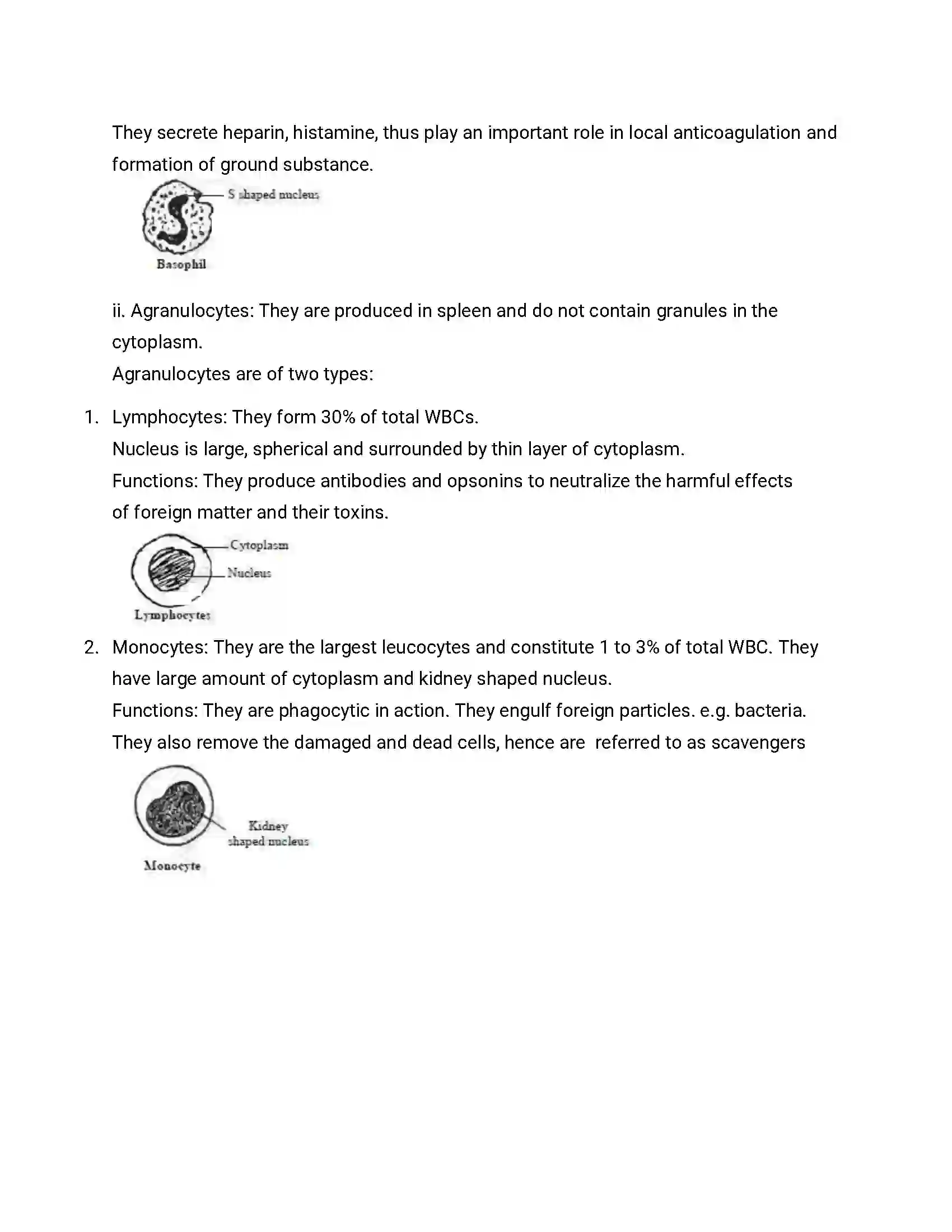Maharashtra Board Class 12th 2016 Biology - Jul 2016 Previous Year Paper 22