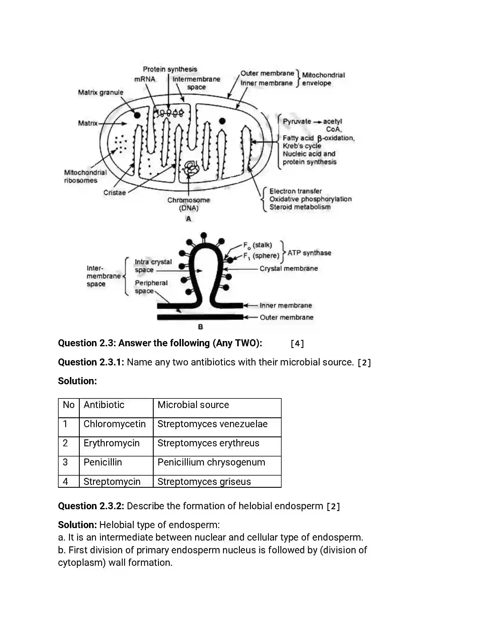 Maharashtra Board Class 12th 2016 Biology - Jul 2016 Previous Year Paper 4