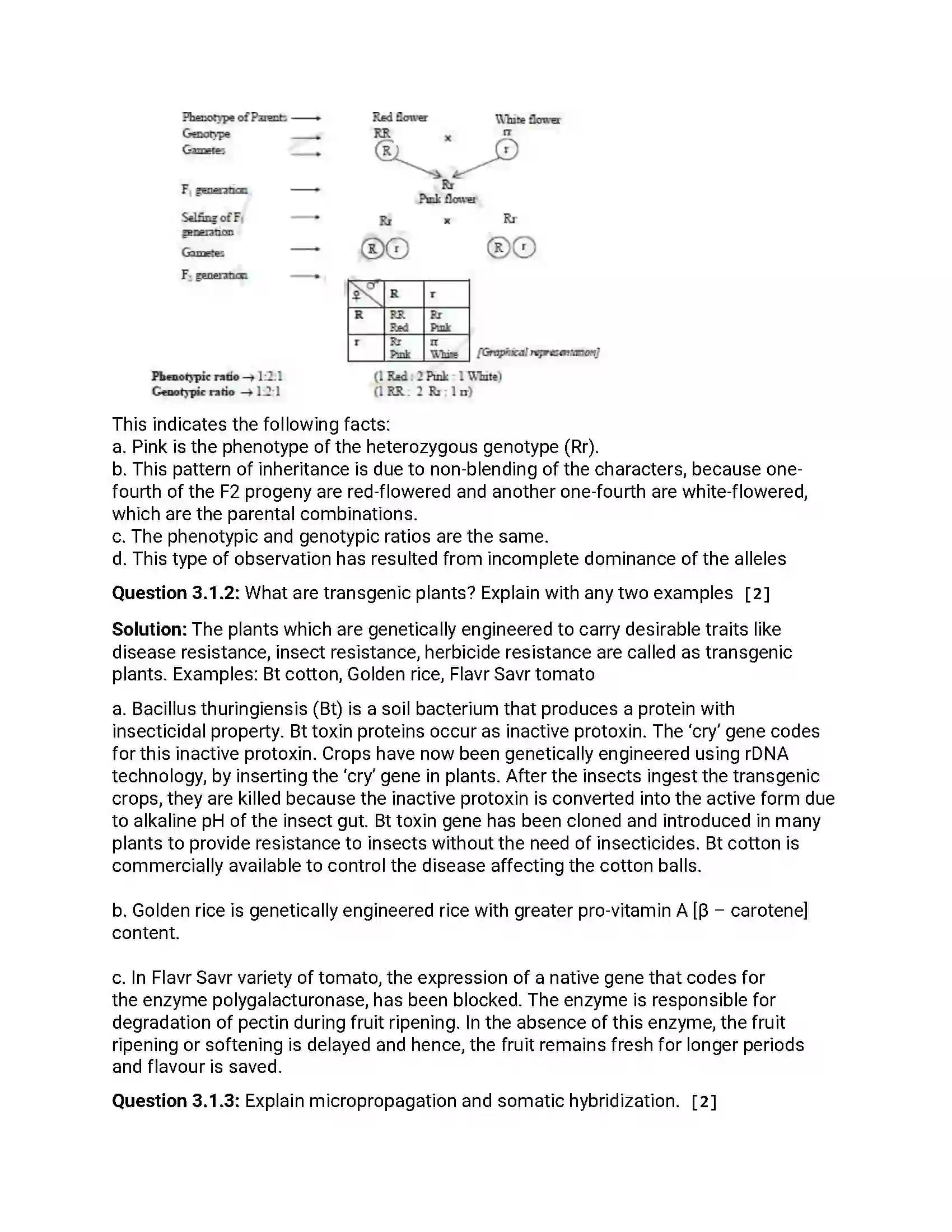 Maharashtra Board Class 12th 2016 Biology - Jul 2016 Previous Year Paper 6