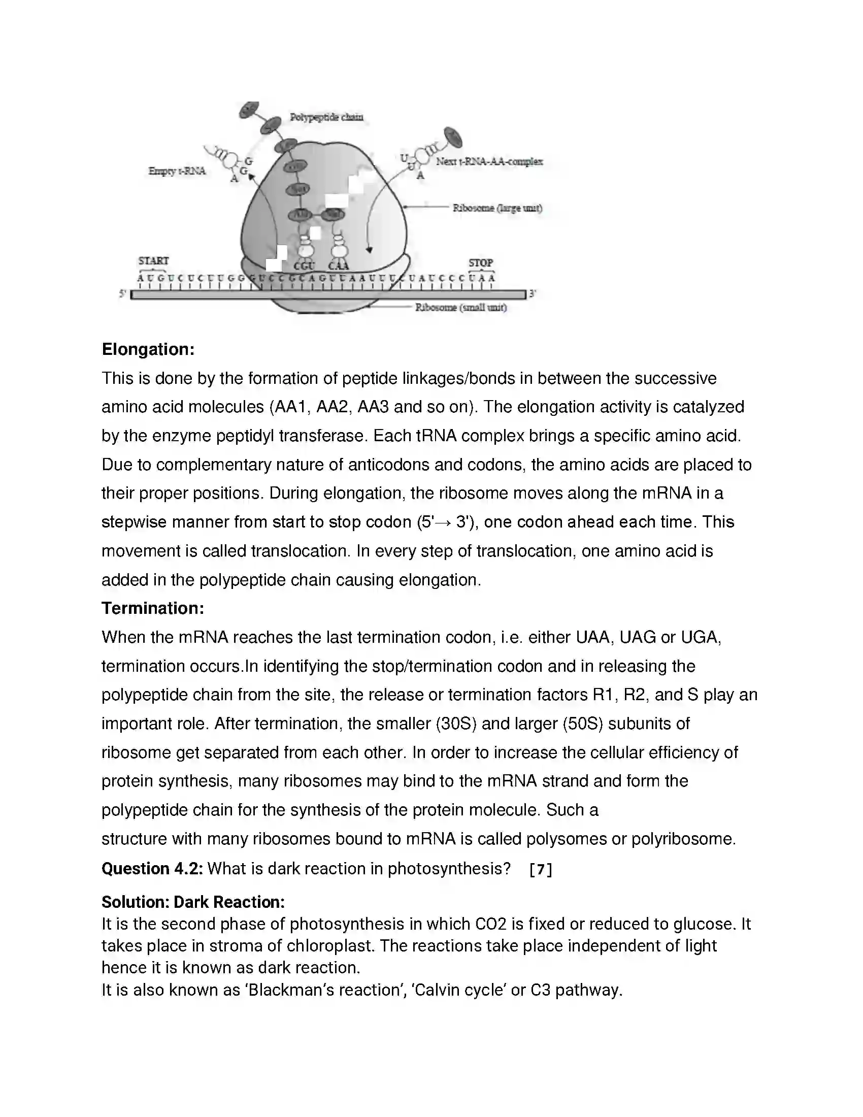 Maharashtra Board Class 12th 2016 Biology - Jul 2016 Previous Year Paper 9
