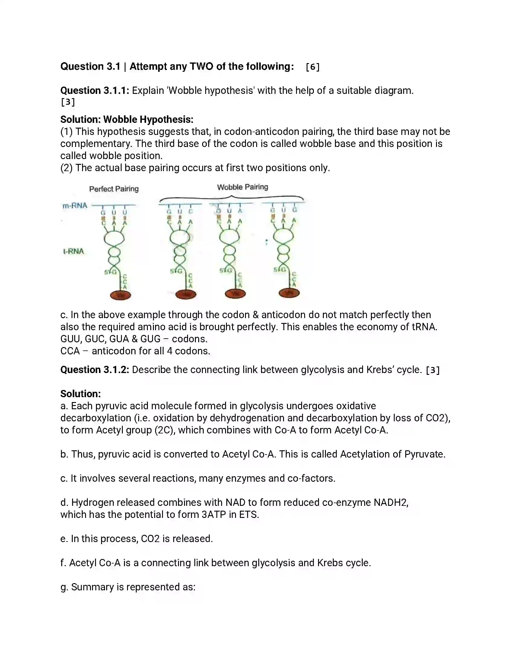 Maharashtra Board Class 12th 2017 Biology - Jul 2017 Previous Year Paper 5