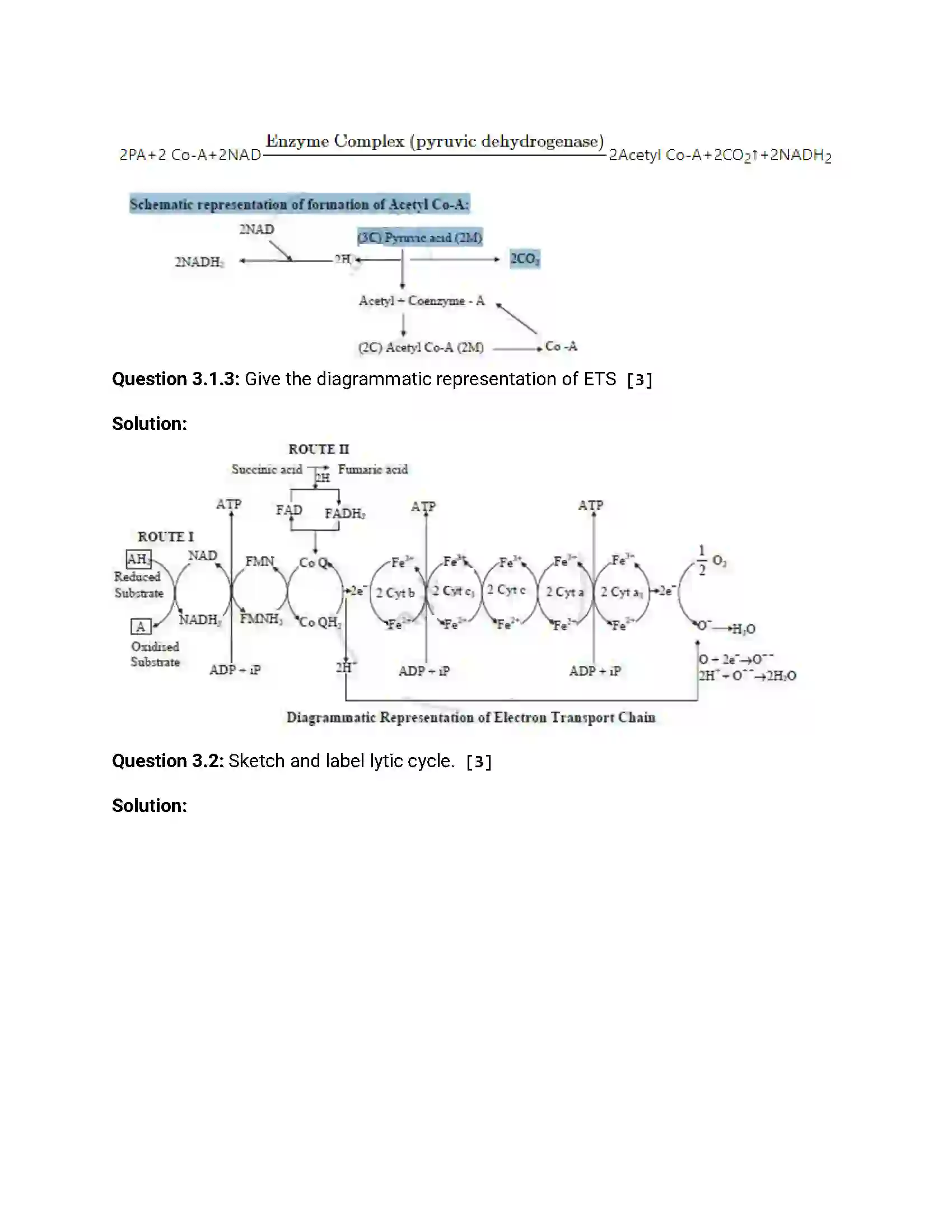 Maharashtra Board Class 12th 2017 Biology - Jul 2017 Previous Year Paper 6