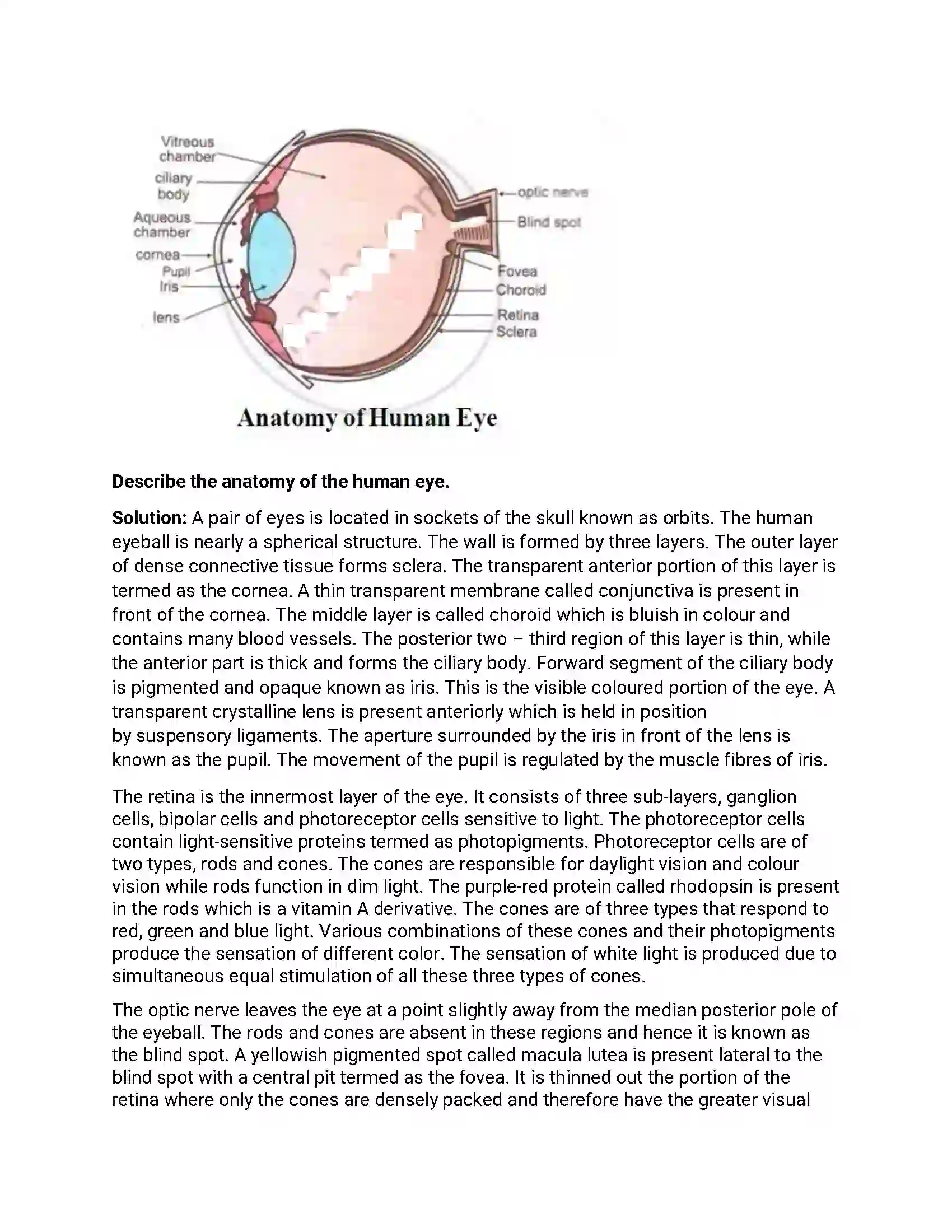 Maharashtra Board Class 12th 2018 Biology March - 2018 Previous Year Paper 19