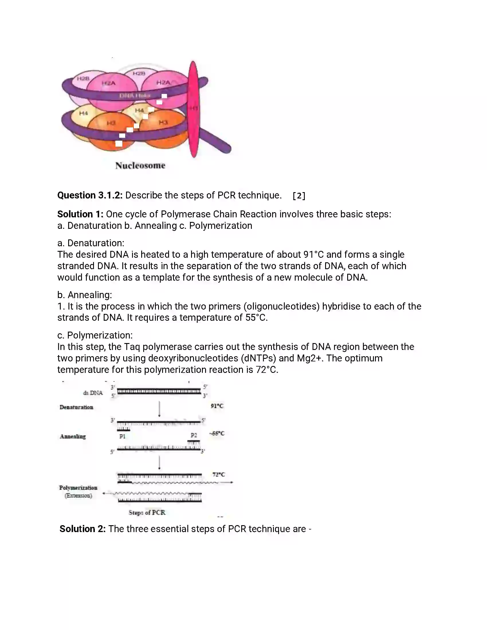Maharashtra Board Class 12th 2018 Biology March - 2018 Previous Year Paper 6
