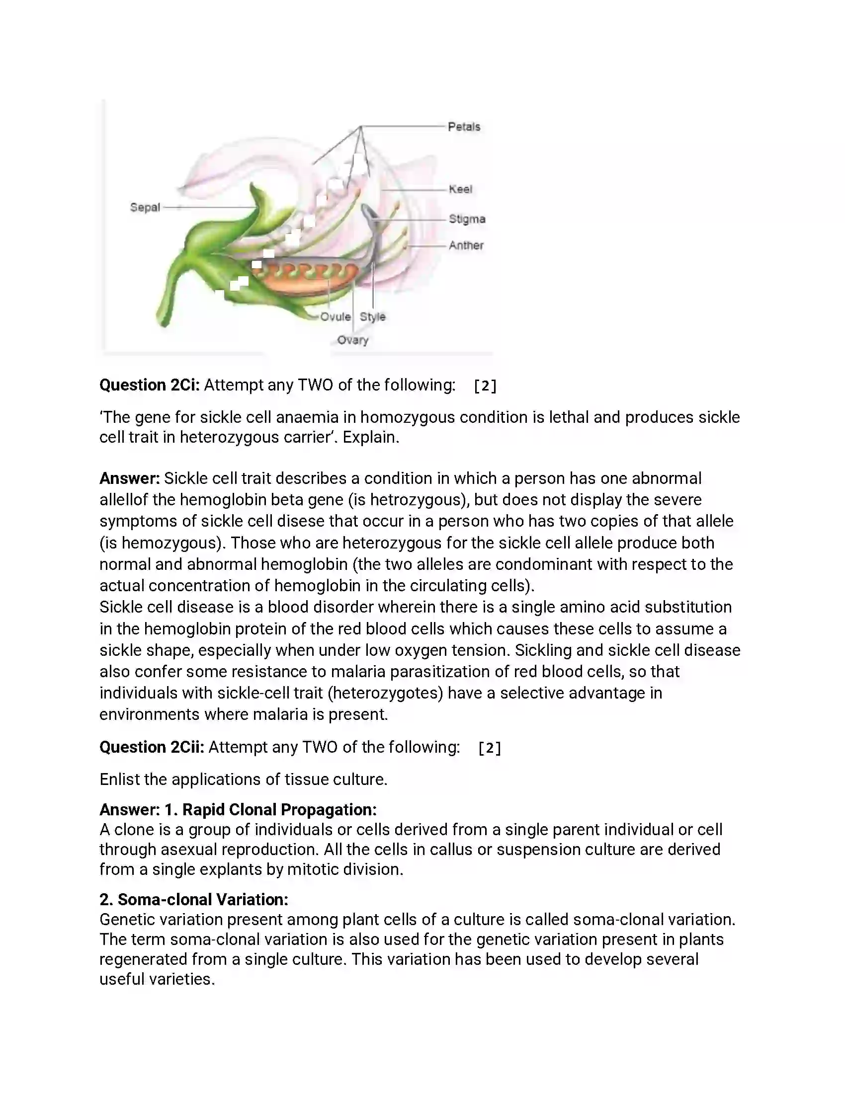 Maharashtra Board Class 12th 2018 Biology - Jul 2018 - Set-1 Previous Year Paper 4