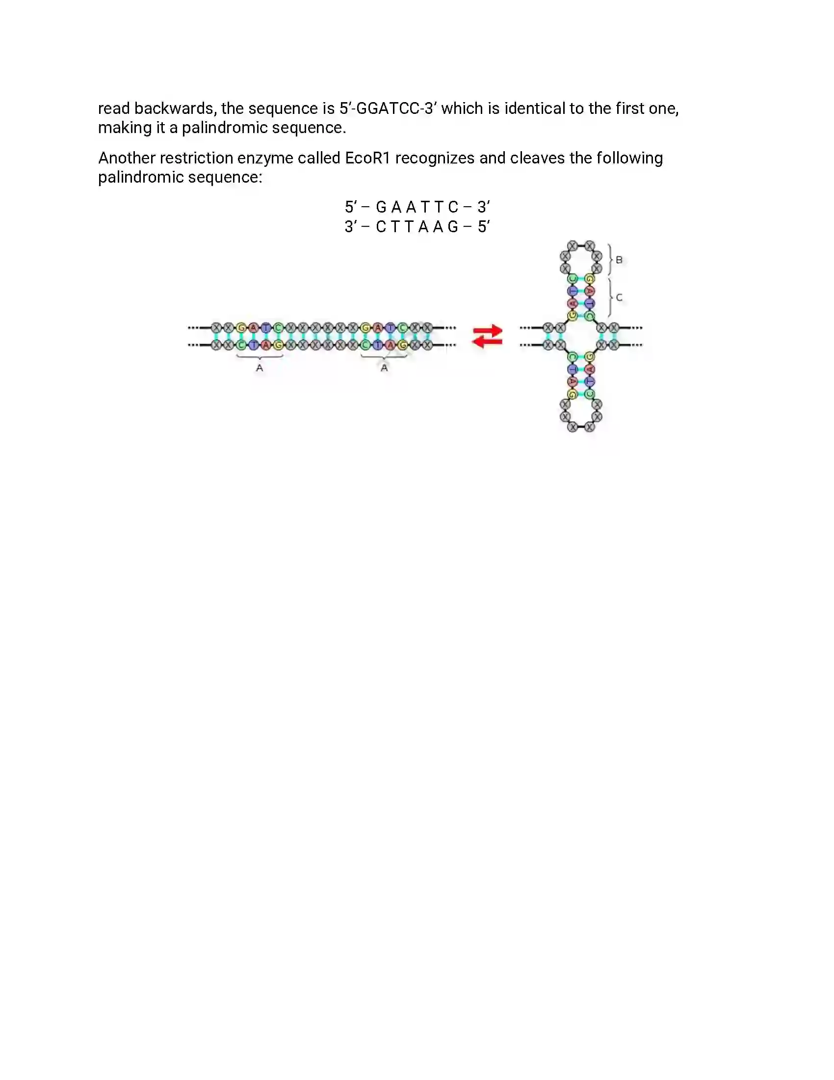 Maharashtra Board Class 12th 2018 Biology - Jul 2018 - Set-1 Previous Year Paper 8