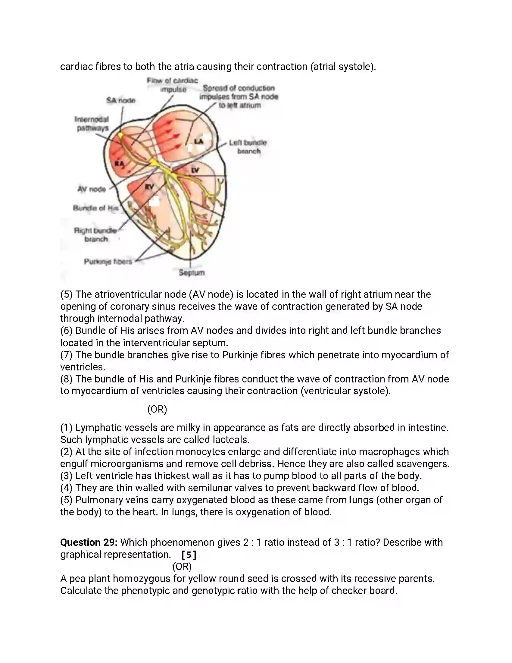 Maharashtra Board Class 12th 2019 Biology - Feb 2019 - Set-1 Previous Year Paper 13