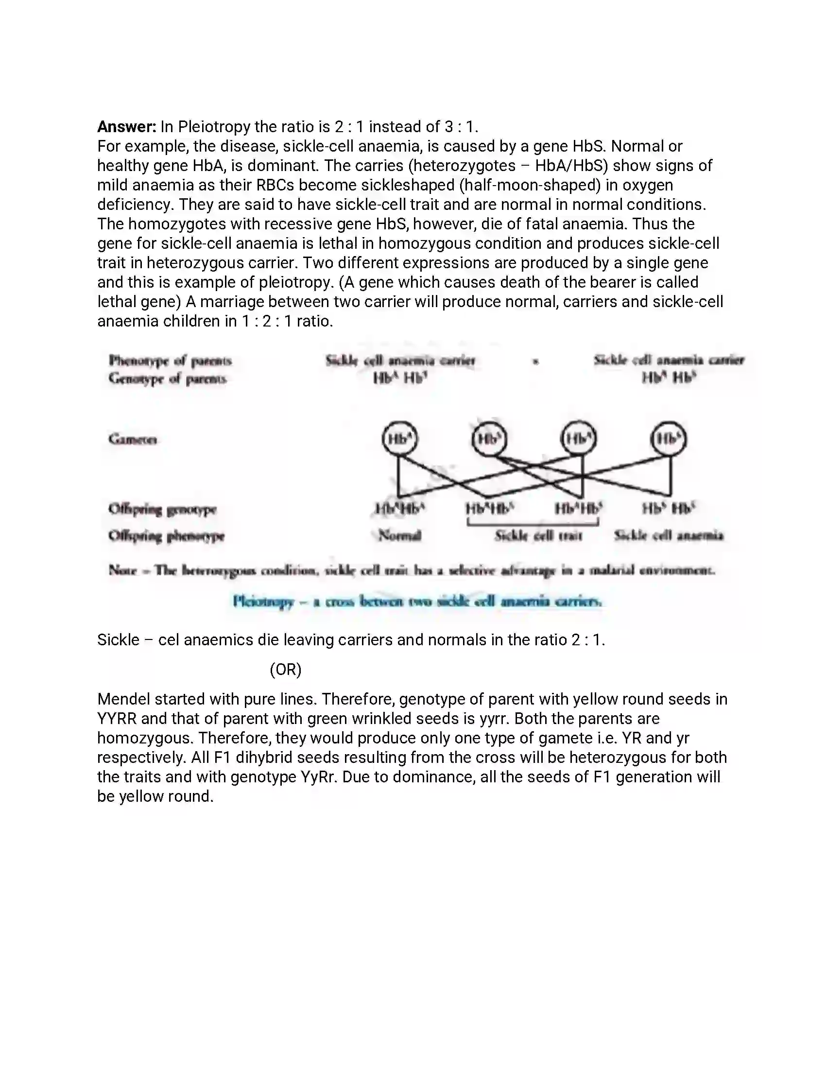 Maharashtra Board Class 12th 2019 Biology - Feb 2019 - Set-1 Previous Year Paper 14