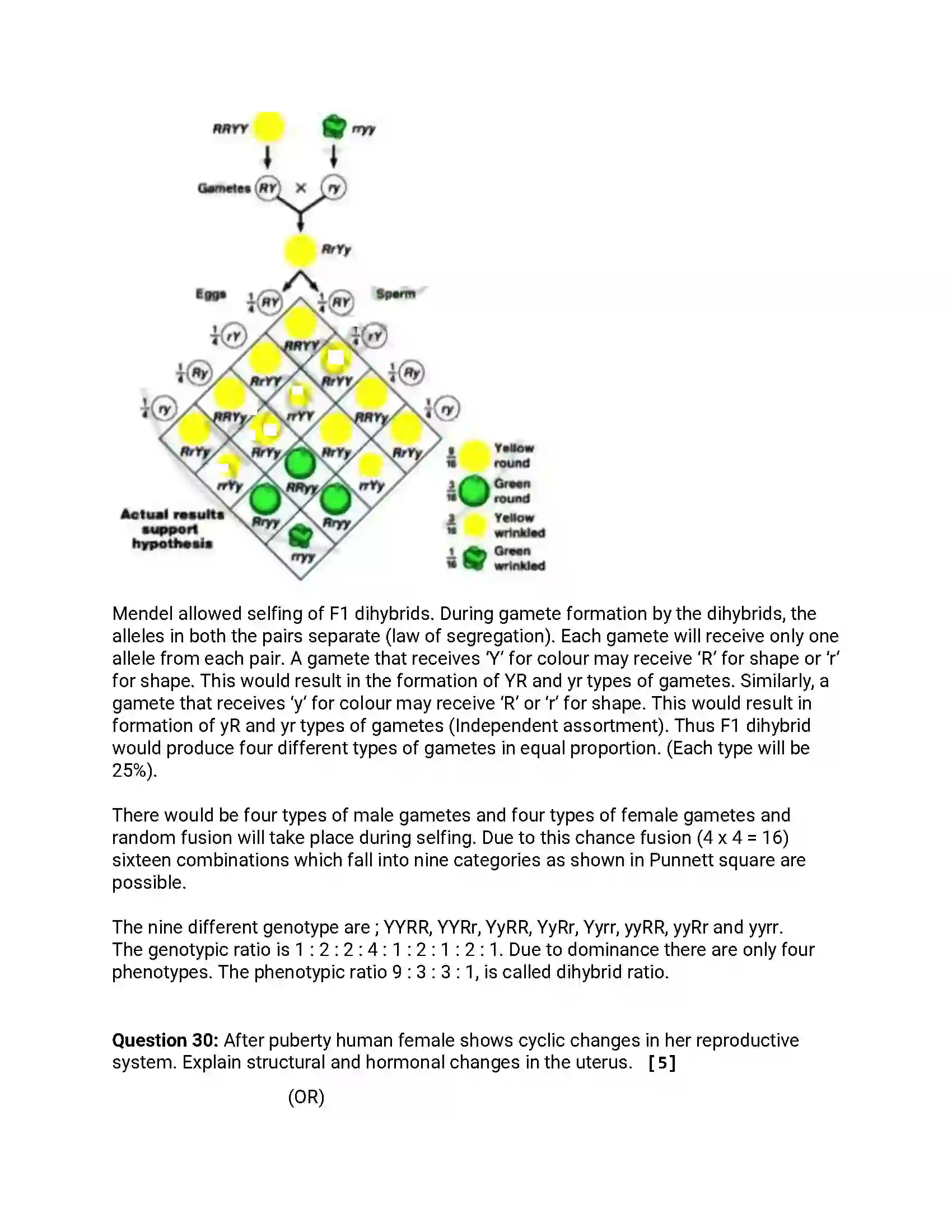Maharashtra Board Class 12th 2019 Biology - Feb 2019 - Set-1 Previous Year Paper 15