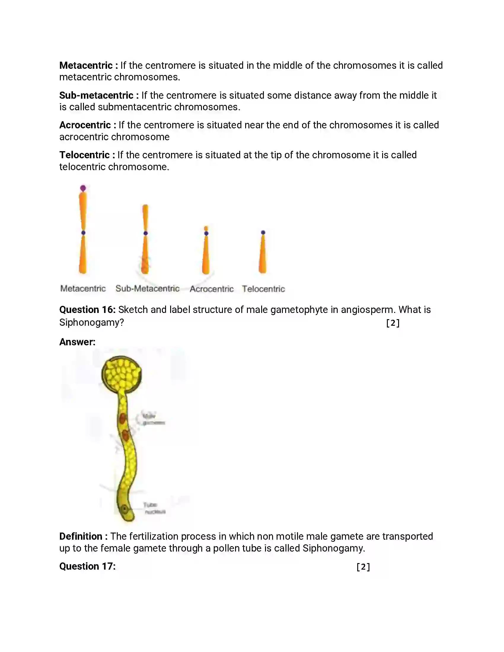 Maharashtra Board Class 12th 2019 Biology - Feb 2019 - Set-1 Previous Year Paper 4